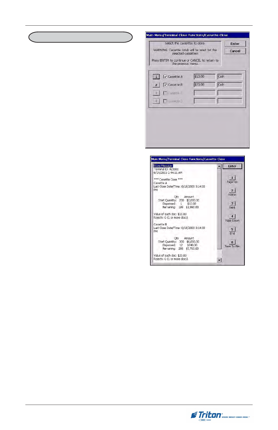 Triton RL5000 User Manual User Manual | Page 81 / 208