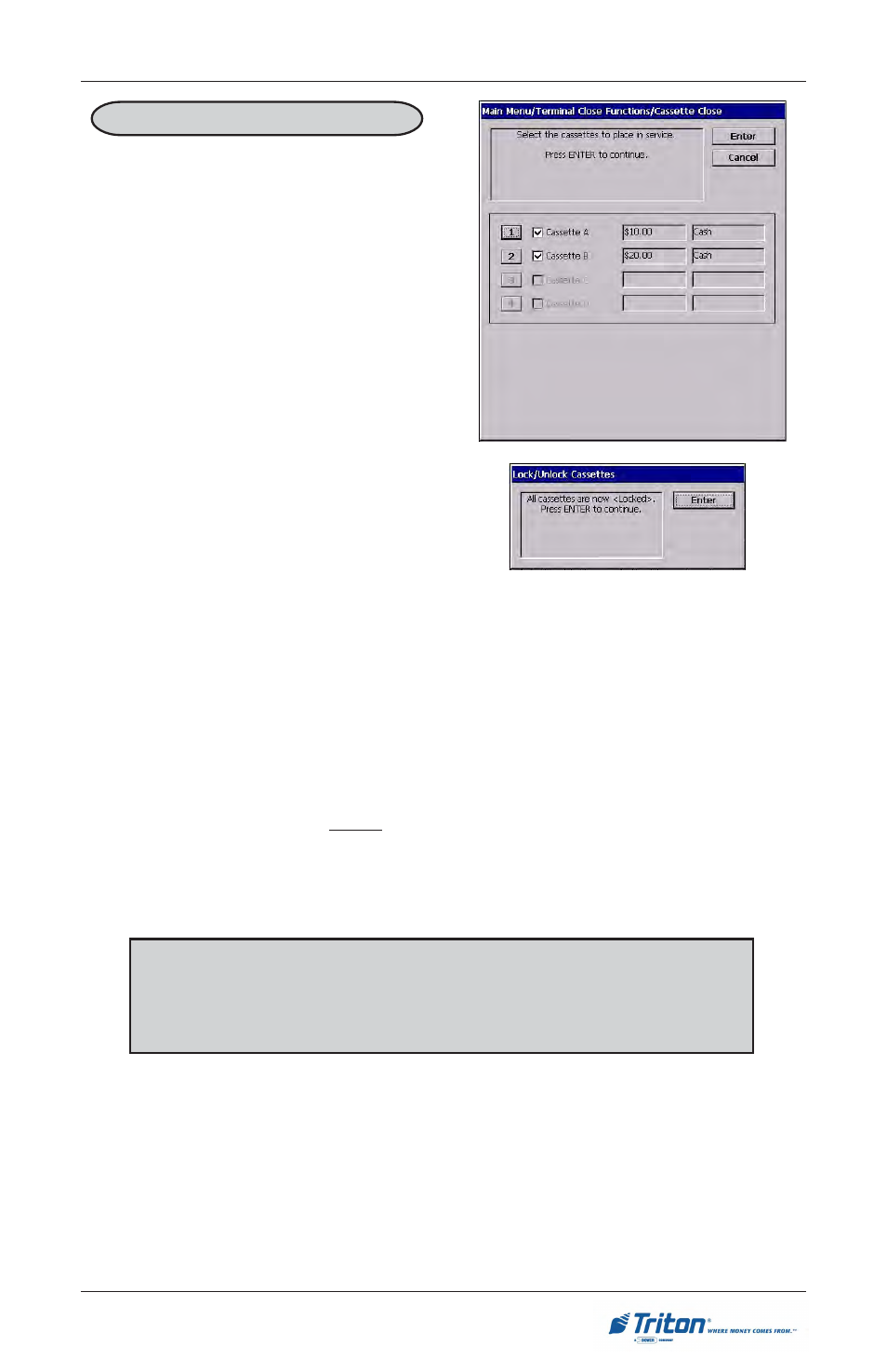 Triton RL5000 User Manual User Manual | Page 83 / 208