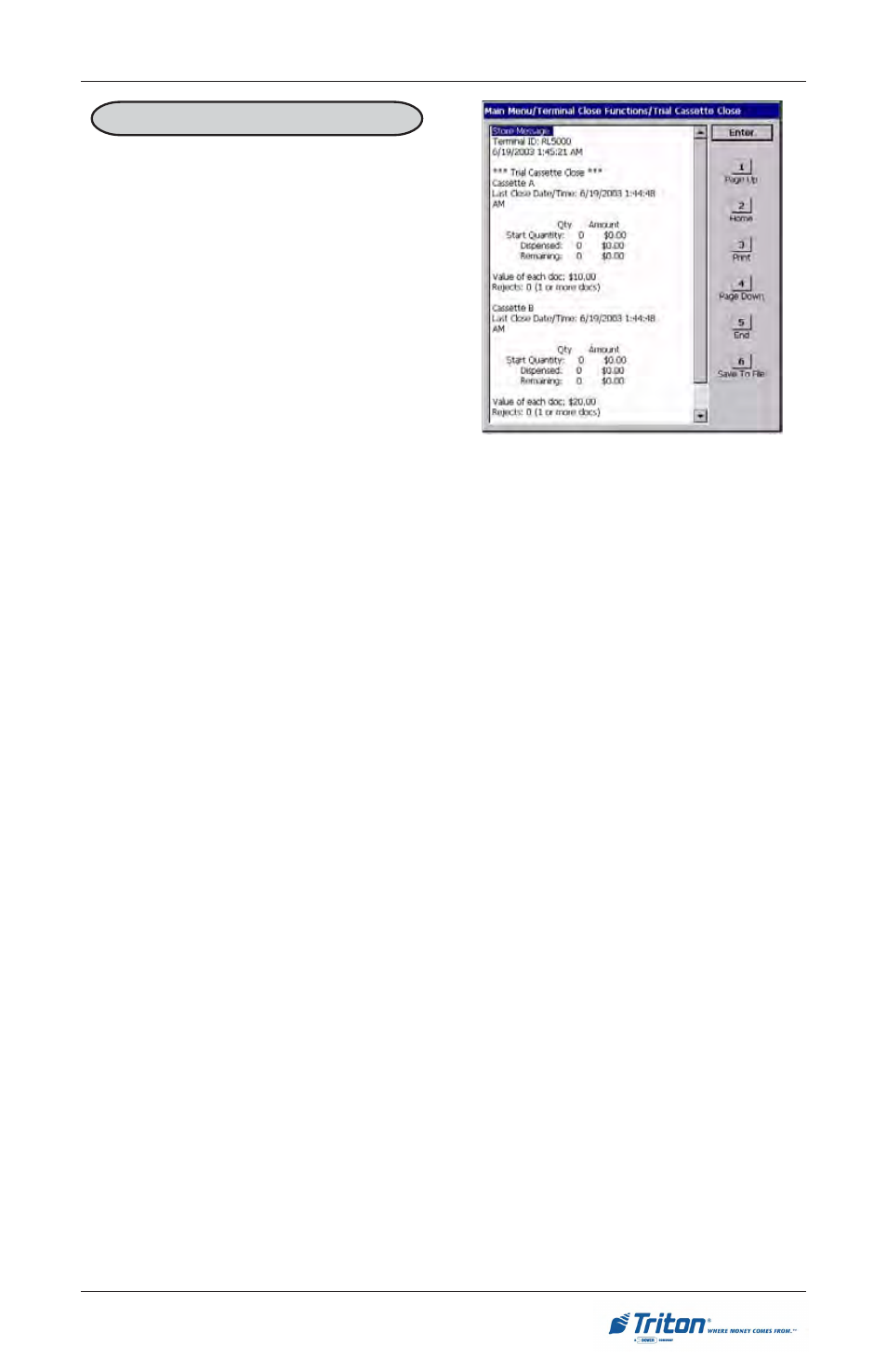 Triton RL5000 User Manual User Manual | Page 85 / 208