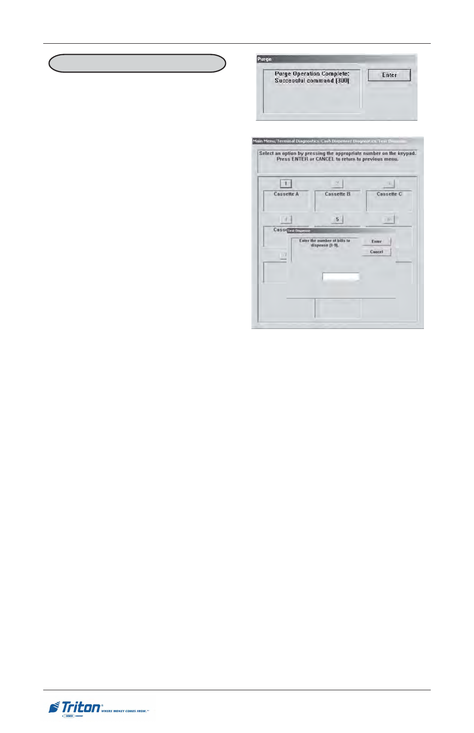 Rl5000 s | Triton RL5000 User Manual User Manual | Page 96 / 208