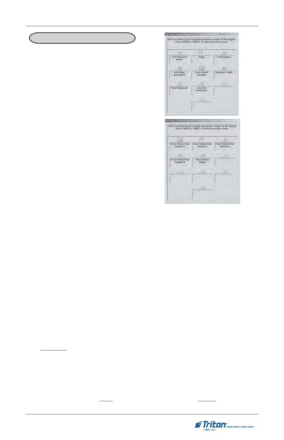 Triton RL5000 User Manual User Manual | Page 97 / 208