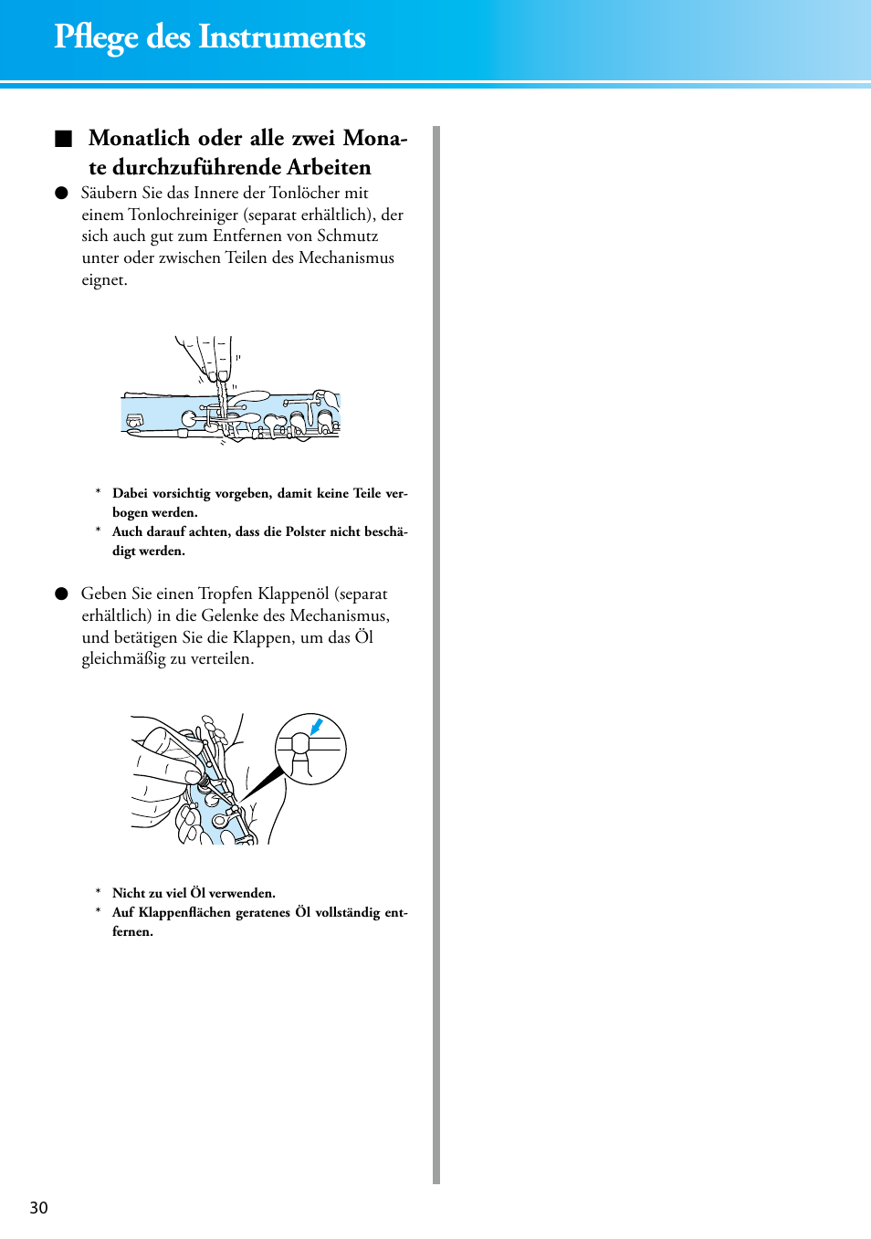 Pflege des instruments | Yamaha YCL-681 II User Manual | Page 10 / 16