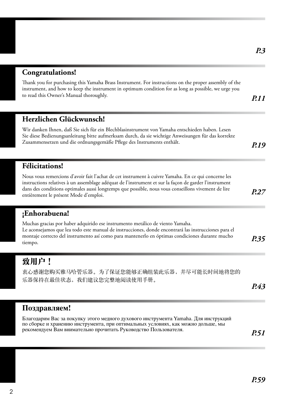 Yamaha SAX-MTSET User Manual | Page 2 / 12