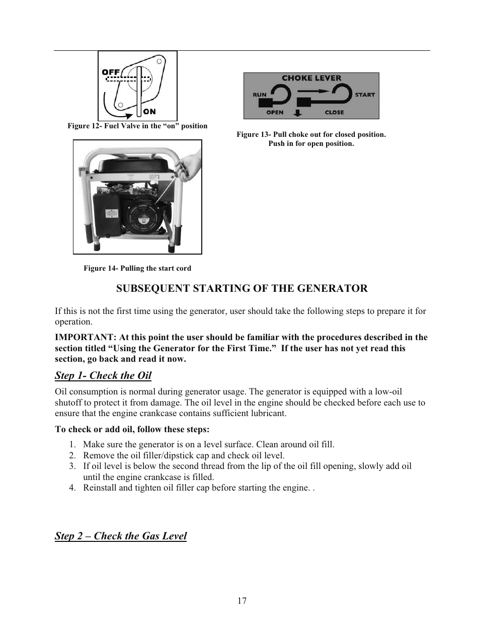 WEN 56682 7000 Watt Electric Start User Manual | Page 20 / 40