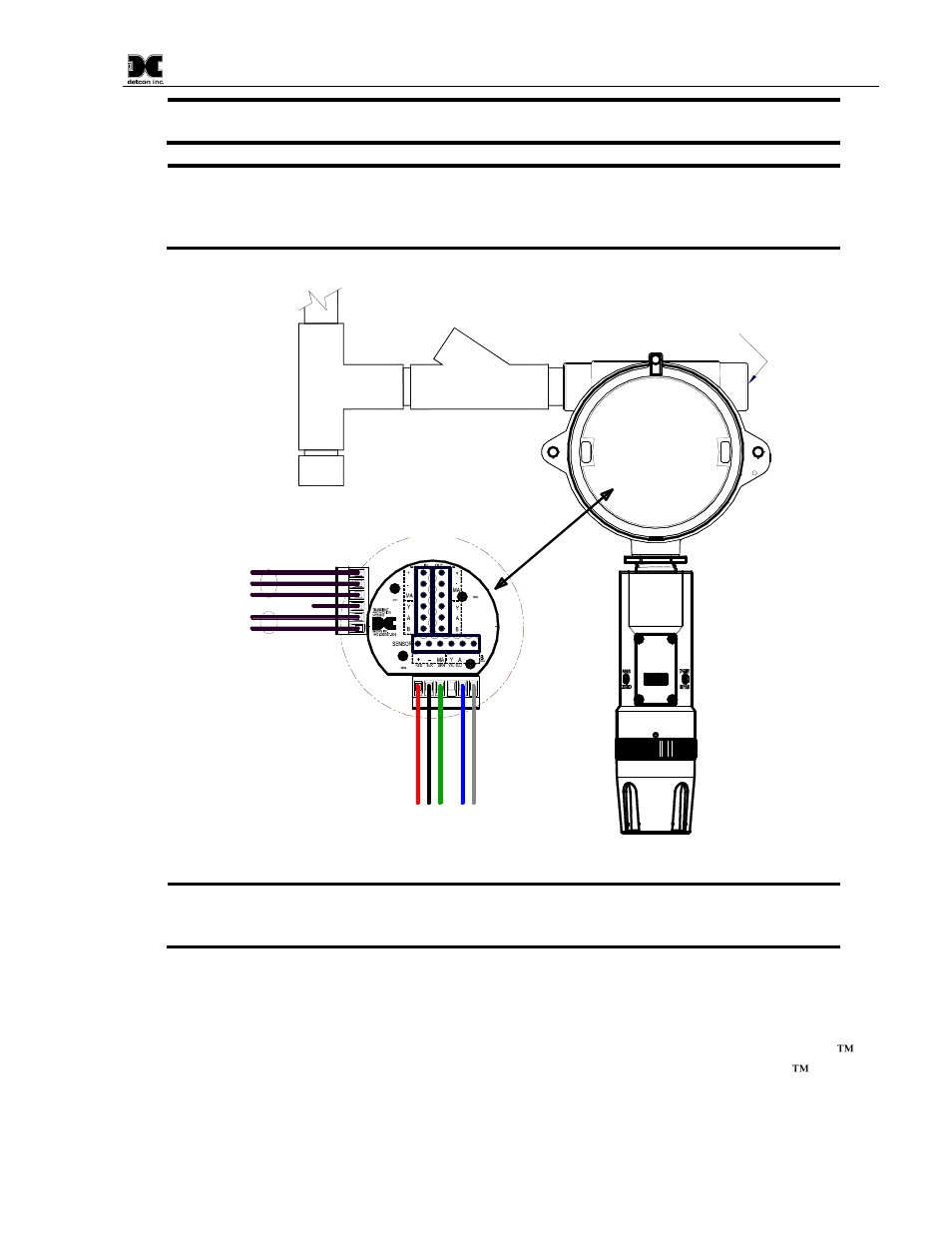 Field wiring, Figure 9 typical installation, Figure 9 | 6 field wiring | Detcon DM-700 User Manual | Page 13 / 58