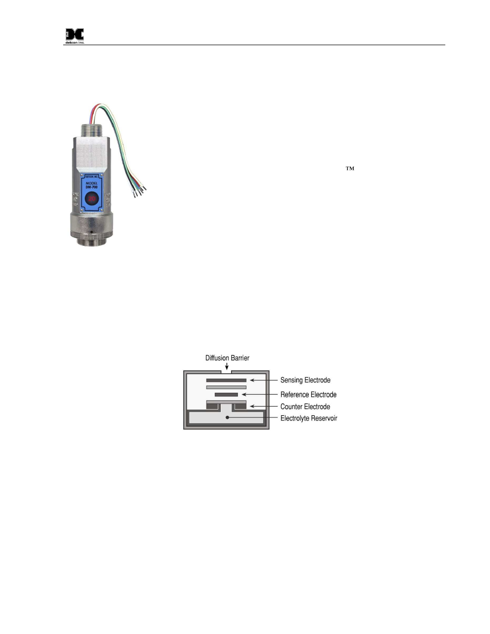 Introduction, Description, 1 description | Detcon DM-700 User Manual | Page 5 / 58