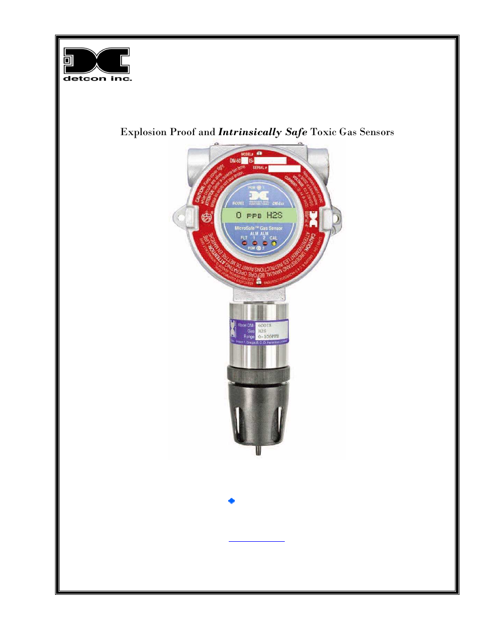 Detcon DM-600IS User Manual | 41 pages