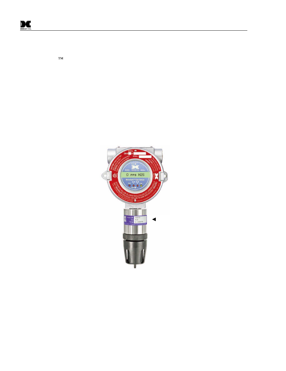 Description, Sensor technology, 0 description | Detcon DM-600IS User Manual | Page 6 / 41