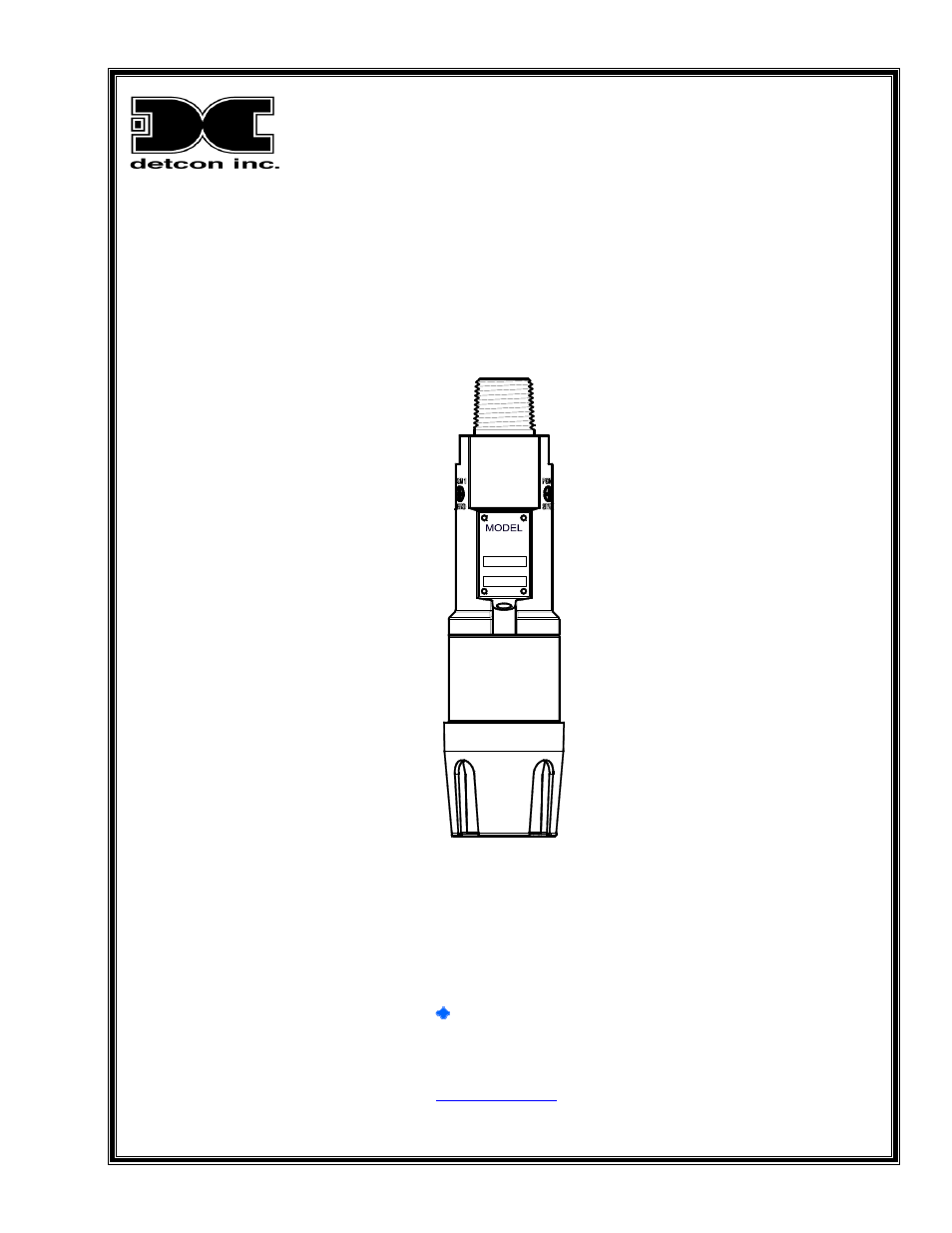 Detcon DM-100 User Manual | 44 pages