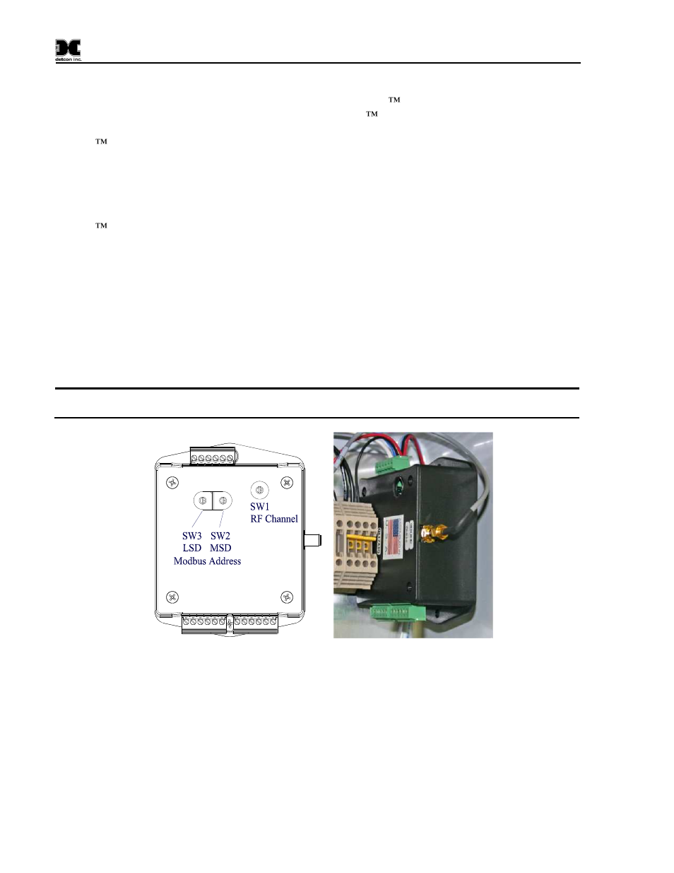Wireless option, Figure 5 radio module, 13 wireless option | Detcon X40-32-N7 User Manual | Page 18 / 70