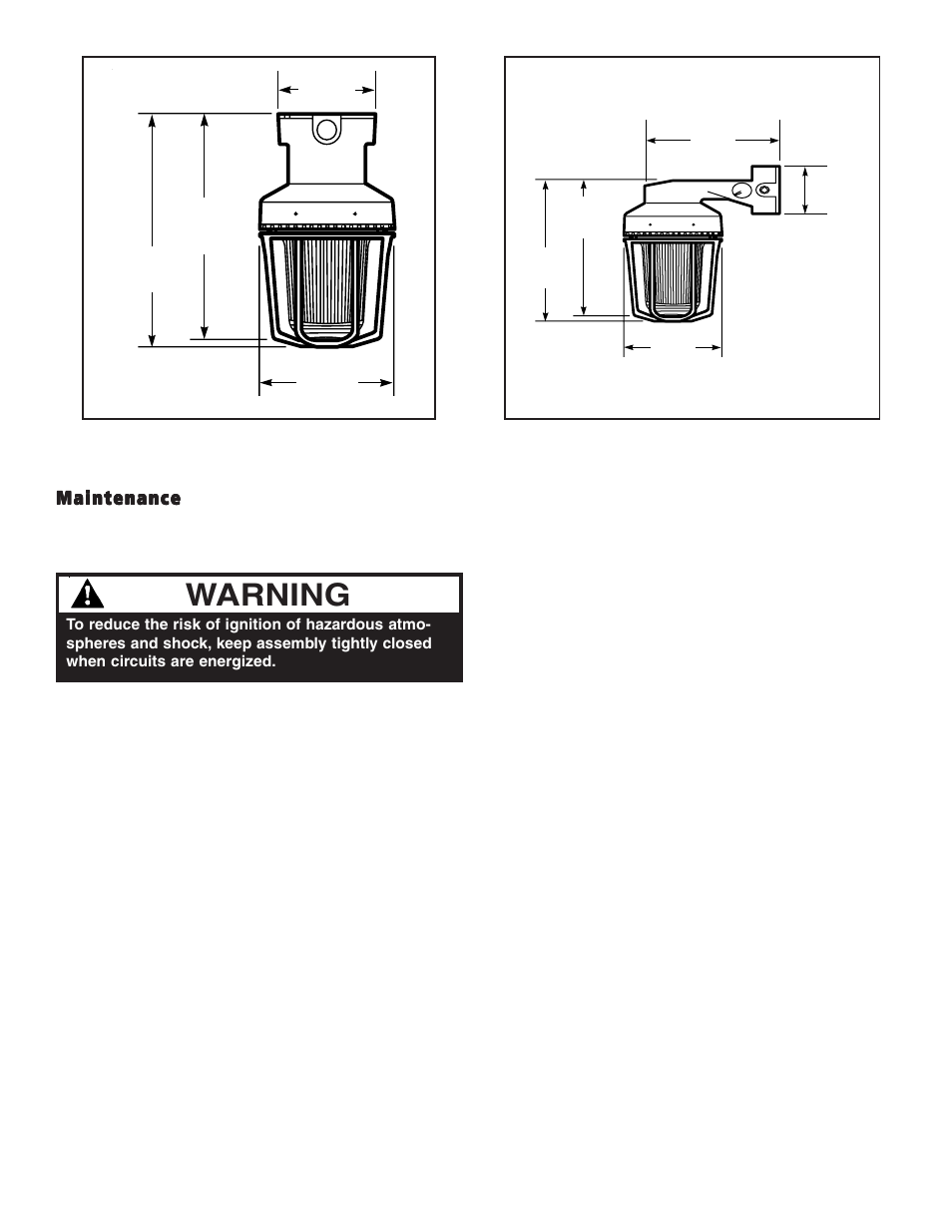 Warning, Maintenance | Edwards Signaling 106EX Series User Manual | Page 2 / 4