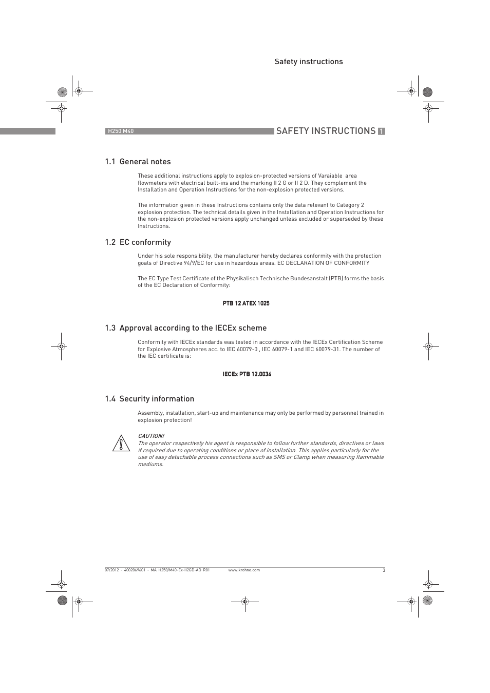 Safety instructions | KROHNE H250 M40 ATEX II2D Ex t-II2G Ex d EN User Manual | Page 3 / 20
