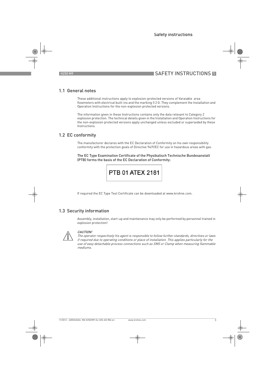 Safety instructions | KROHNE H250 M9 ATEX II2G Ex i EN User Manual | Page 3 / 16