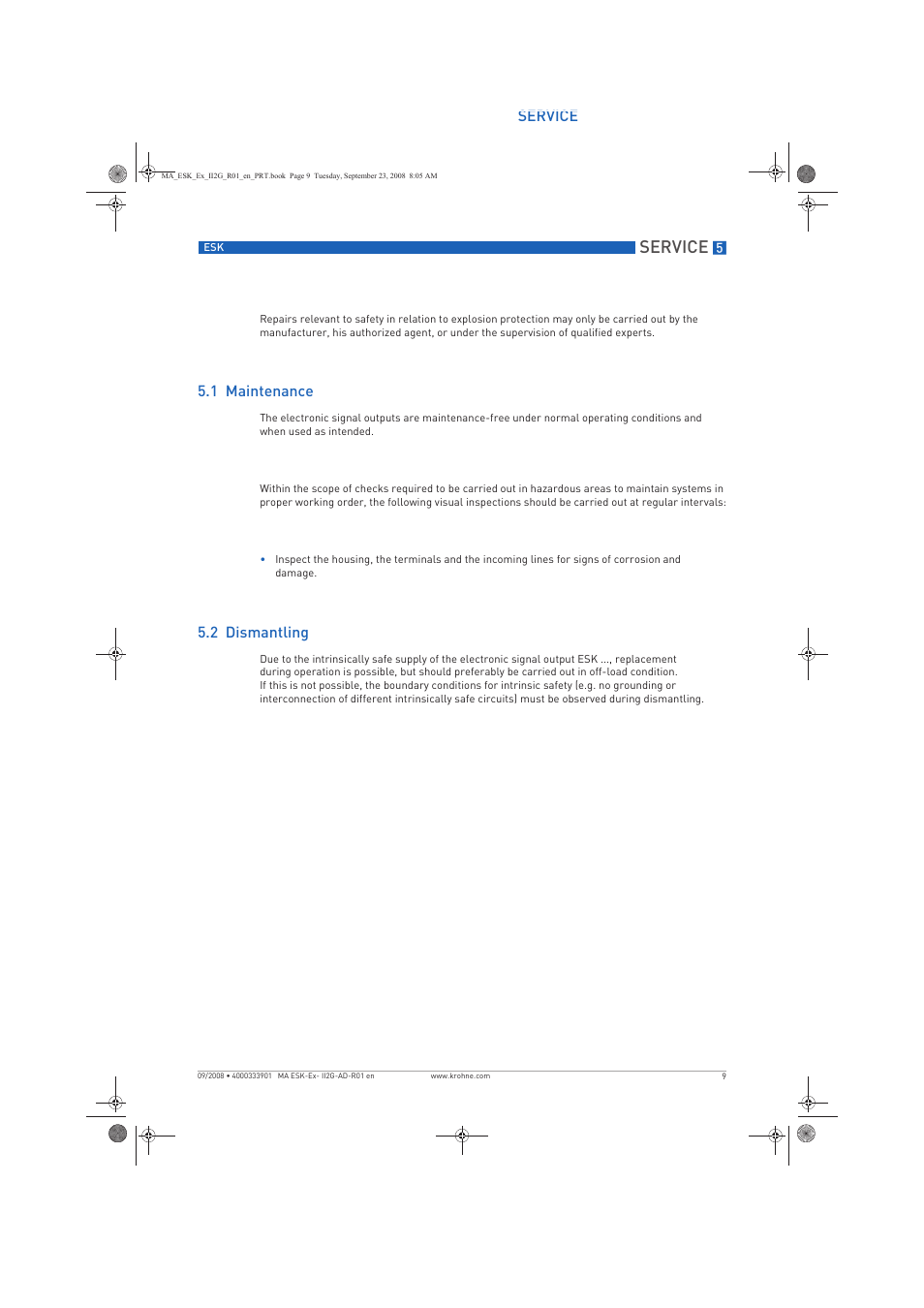 Service, 1 maintenance, 2 dismantling | KROHNE ESKII ESK3 PA ATEX II2G Ex i EN User Manual | Page 9 / 12