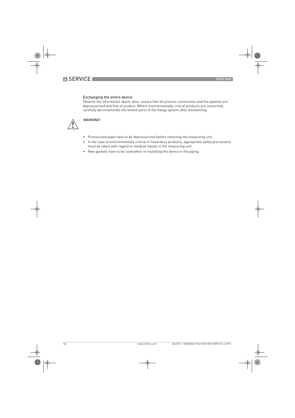 Service | KROHNE H250 M40 NEPSI Ex d-Ex t User Manual | Page 18 / 24