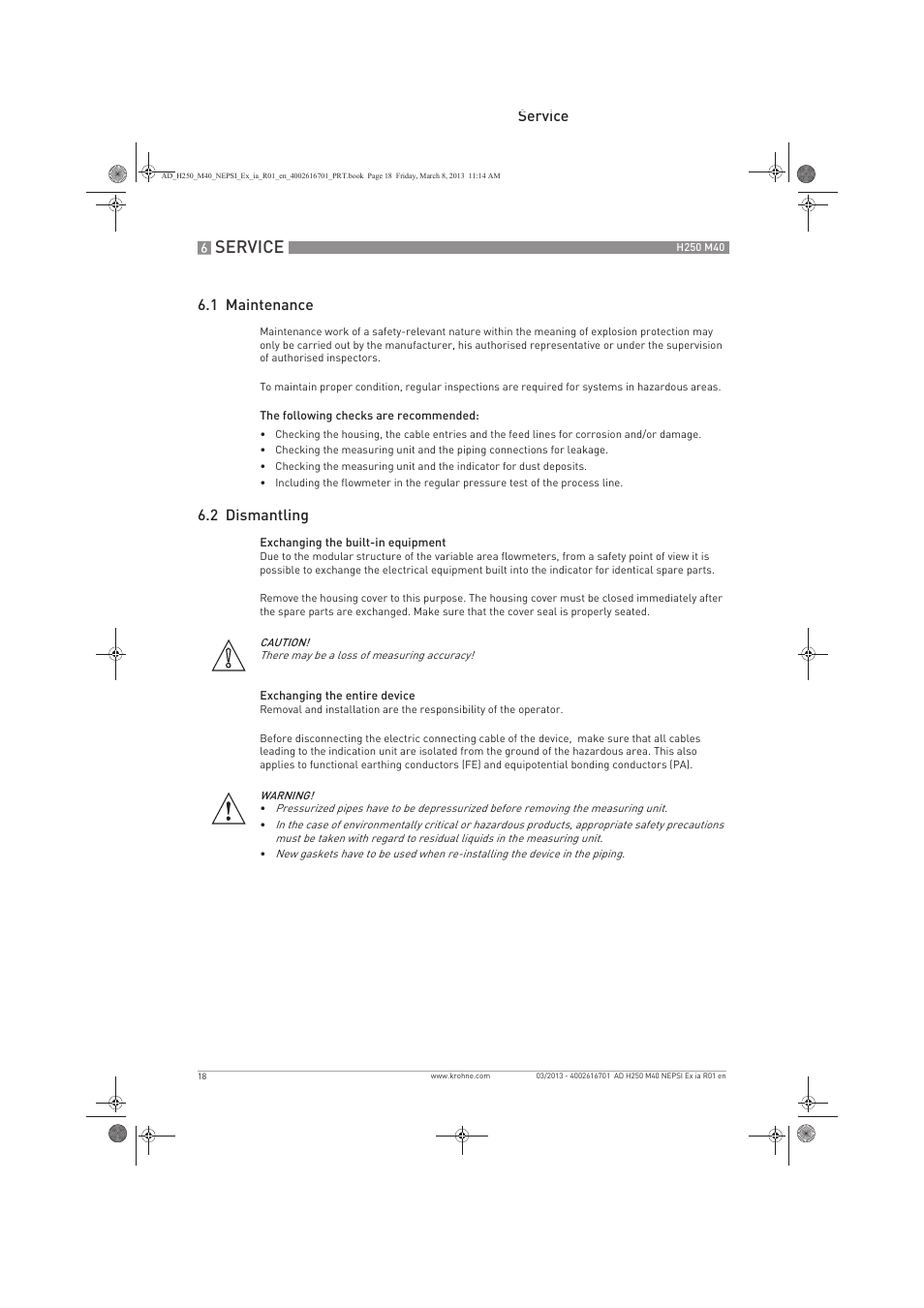 Service, Service 6.1 maintenance, 2 dismantling | KROHNE H250 M40 NEPSI Ex ia User Manual | Page 18 / 24