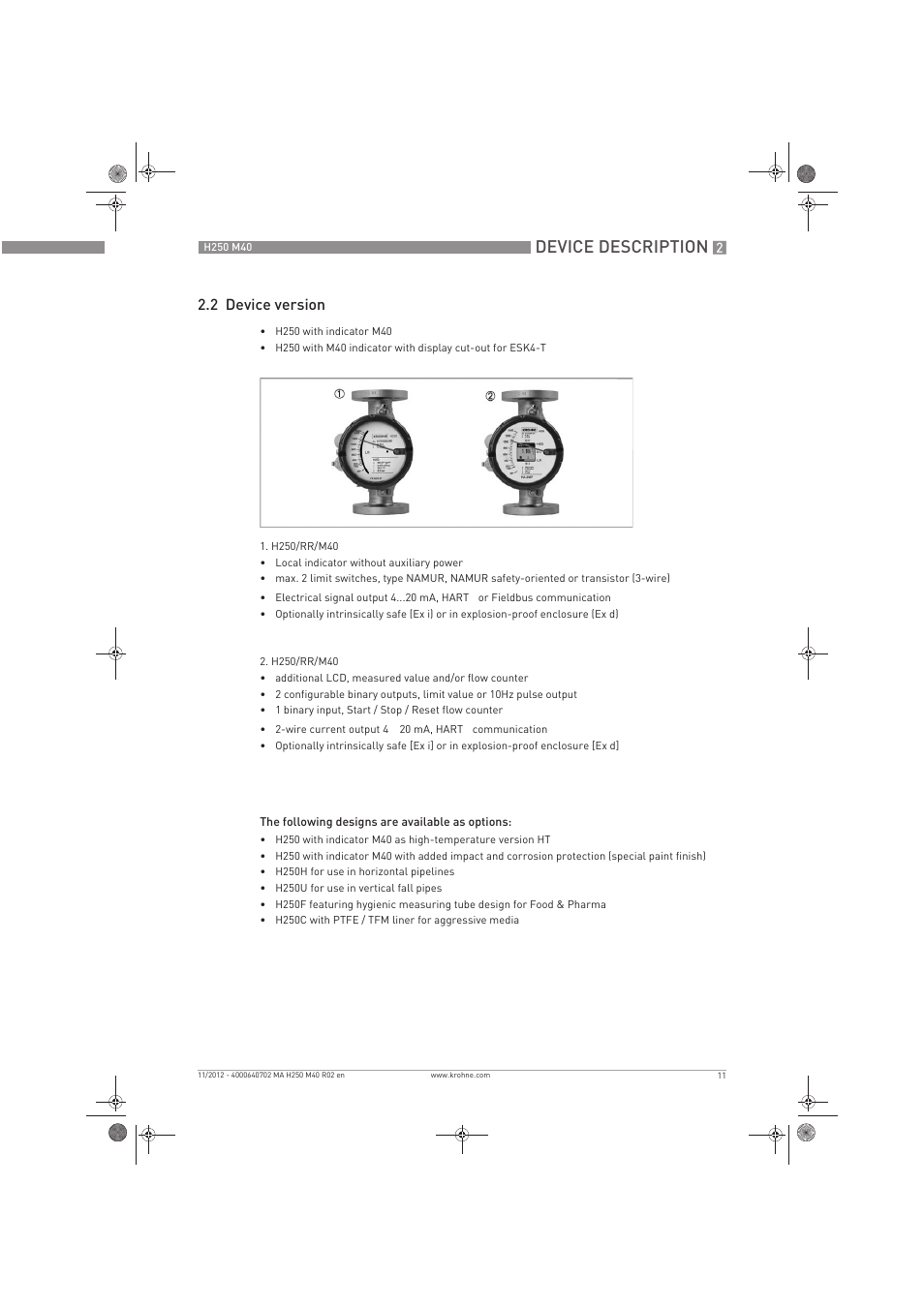 Device description, 2 device version | KROHNE H250 M40 EN User Manual | Page 11 / 80