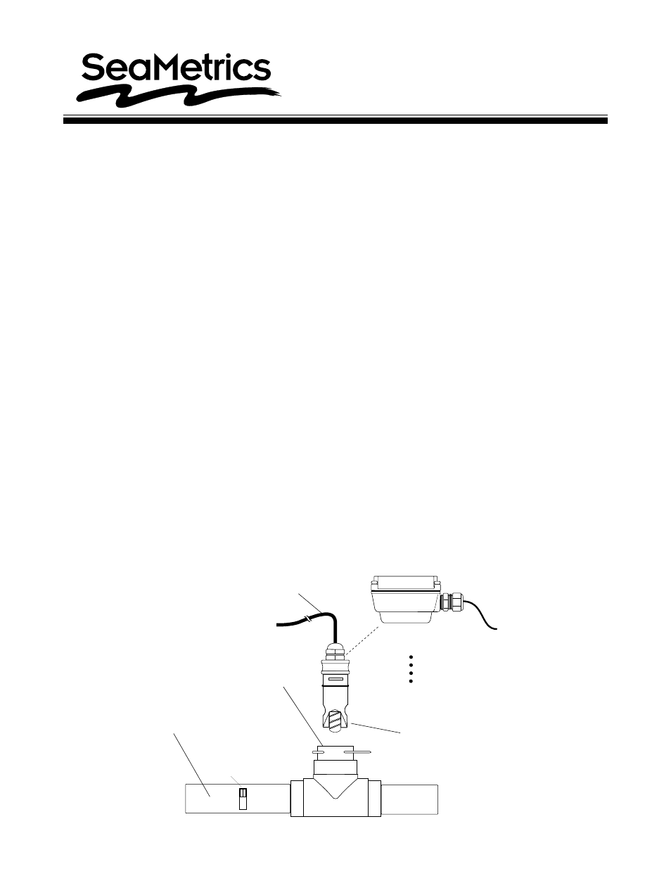 Seametrics TX80 Series User Manual | 4 pages