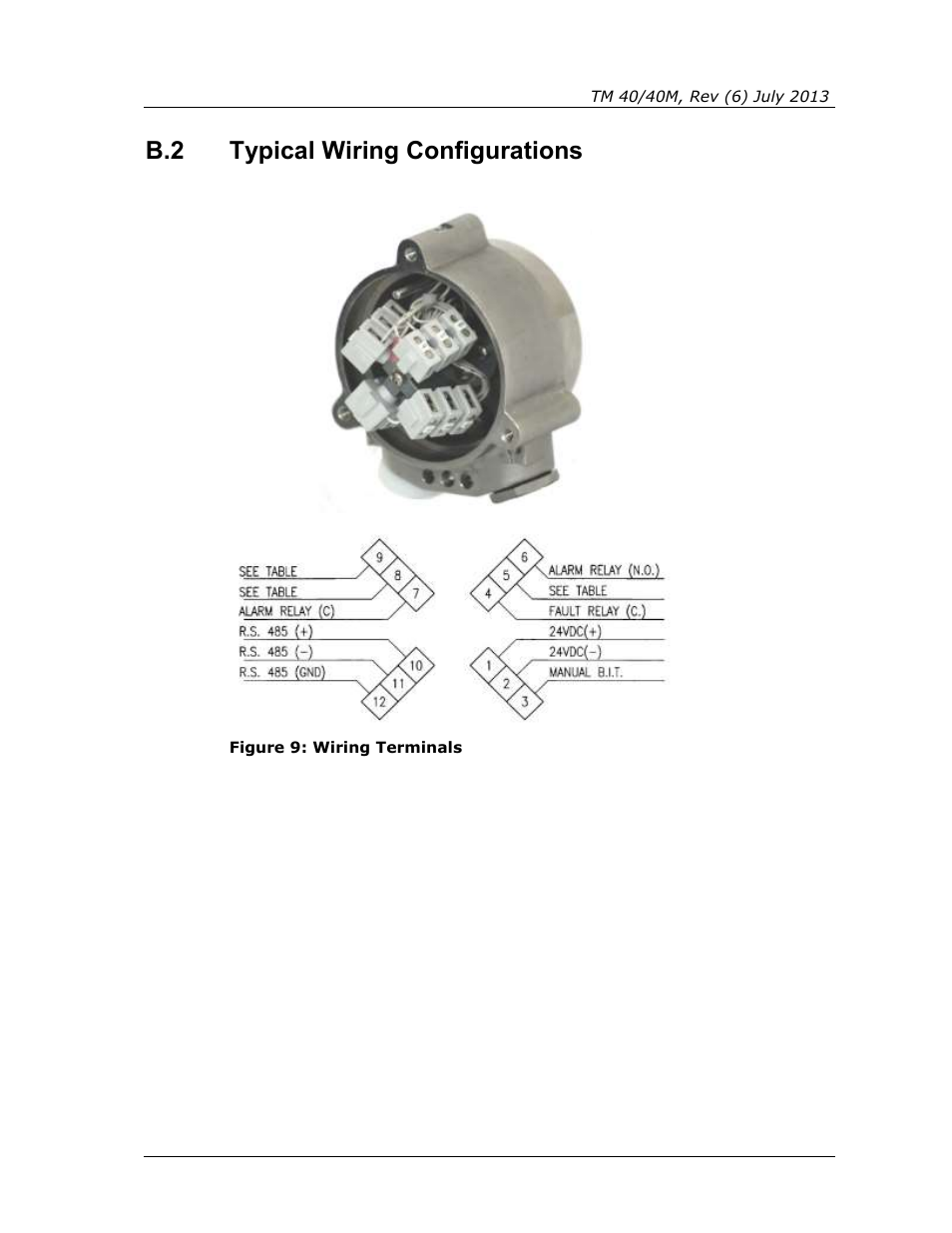 Typical wiring configurations, Figure 9: wiring terminals, B.2 typical wiring configurations | Spectrex 40/40M Multi IR Flame Detector User Manual | Page 63 / 80