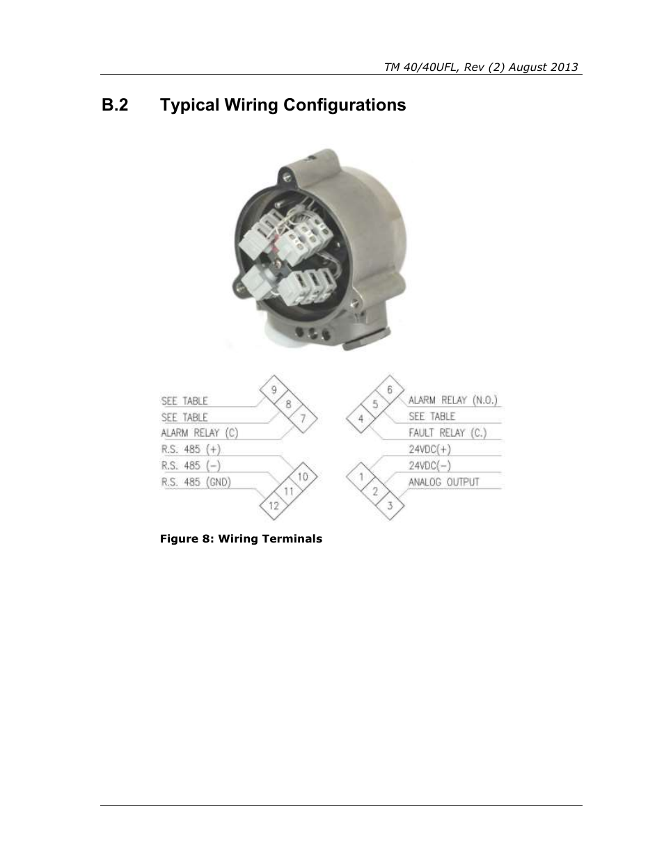 Typical wiring configurations, Figure 8: wiring terminals, B.2 typical wiring configurations | Spectrex 40/40UFL Ultra Fast UV/IR User Manual | Page 63 / 78