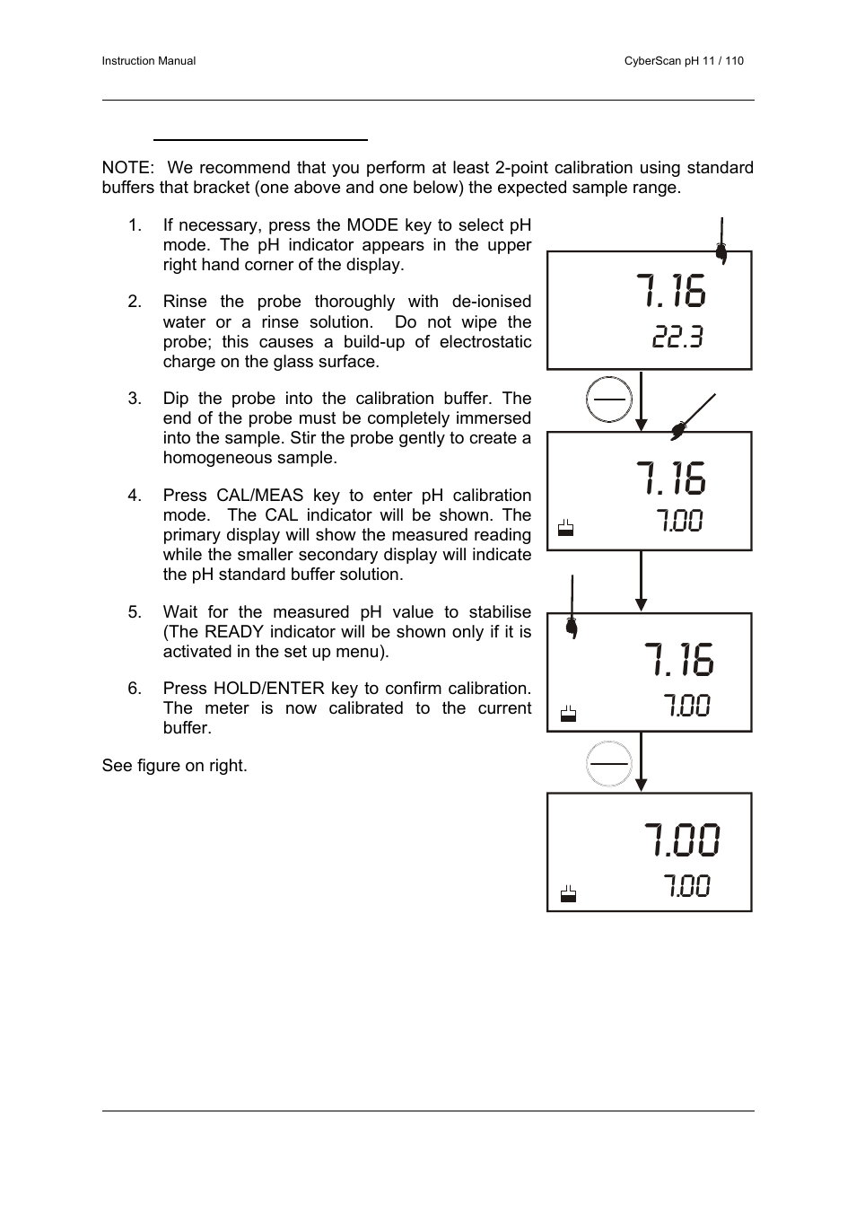 Thermo Fisher Scientific CyberScan pH 11/pH 110 User Manual | Page 17 / 76