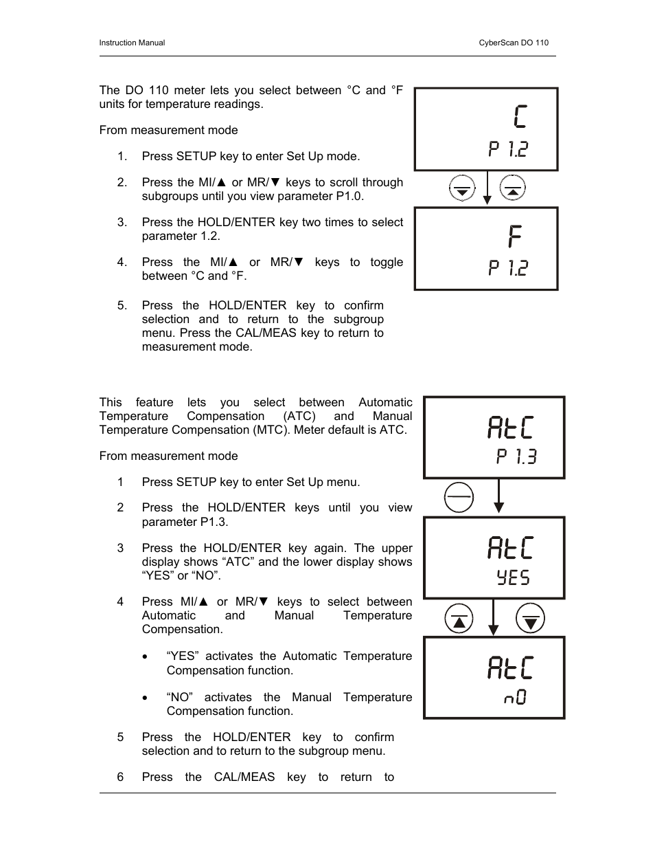 P 1.2, P 1.3 | Thermo Fisher Scientific CyberScan DO 110 User Manual | Page 29 / 60