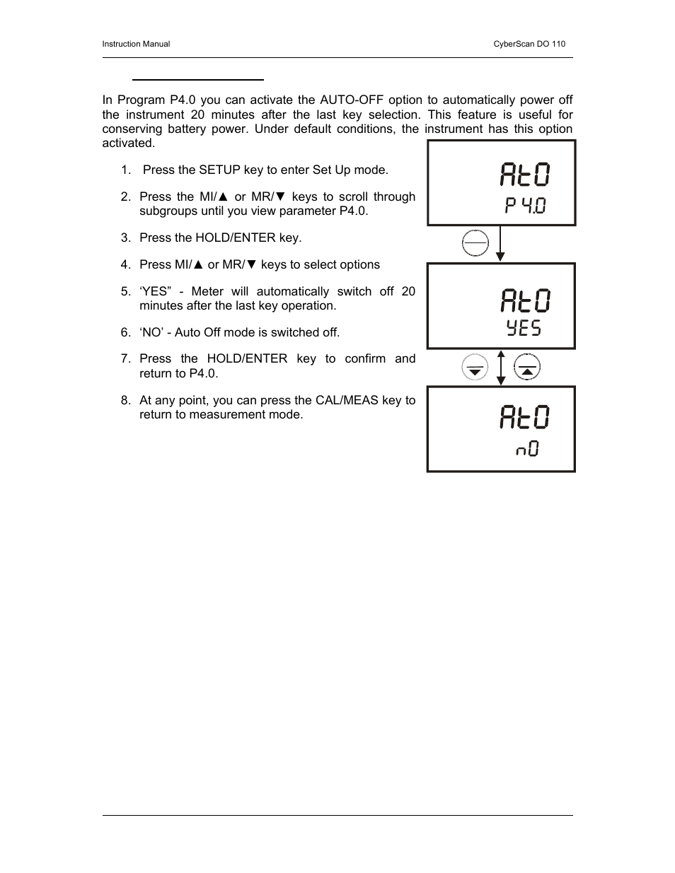 P 4.0 | Thermo Fisher Scientific CyberScan DO 110 User Manual | Page 33 / 60
