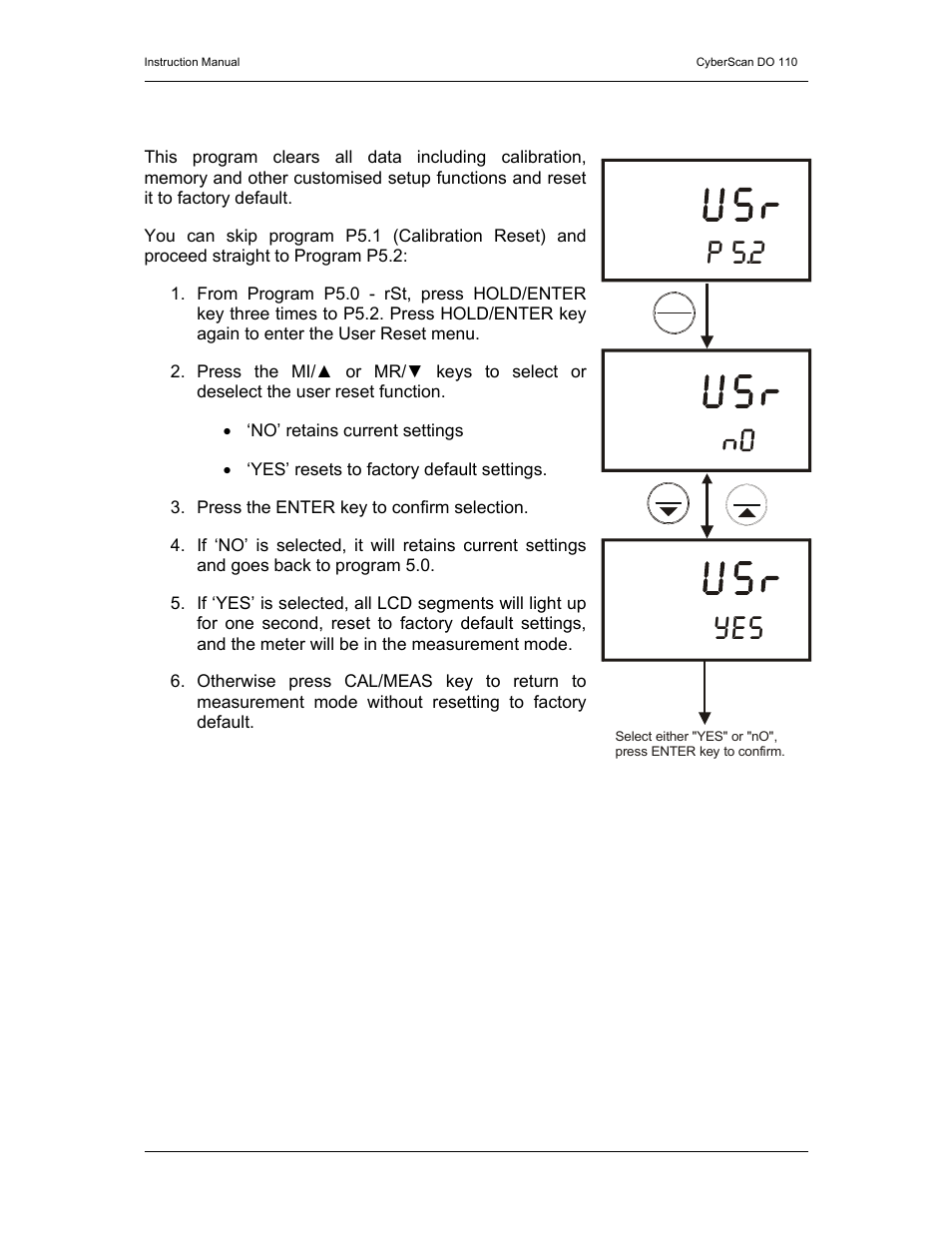 P 5.2 | Thermo Fisher Scientific CyberScan DO 110 User Manual | Page 35 / 60