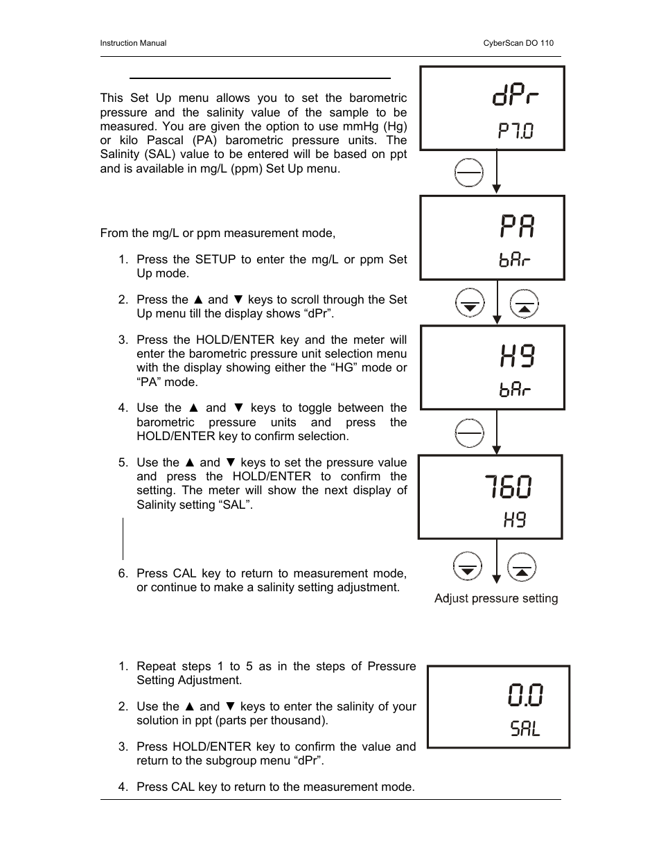 P7.0 | Thermo Fisher Scientific CyberScan DO 110 User Manual | Page 37 / 60