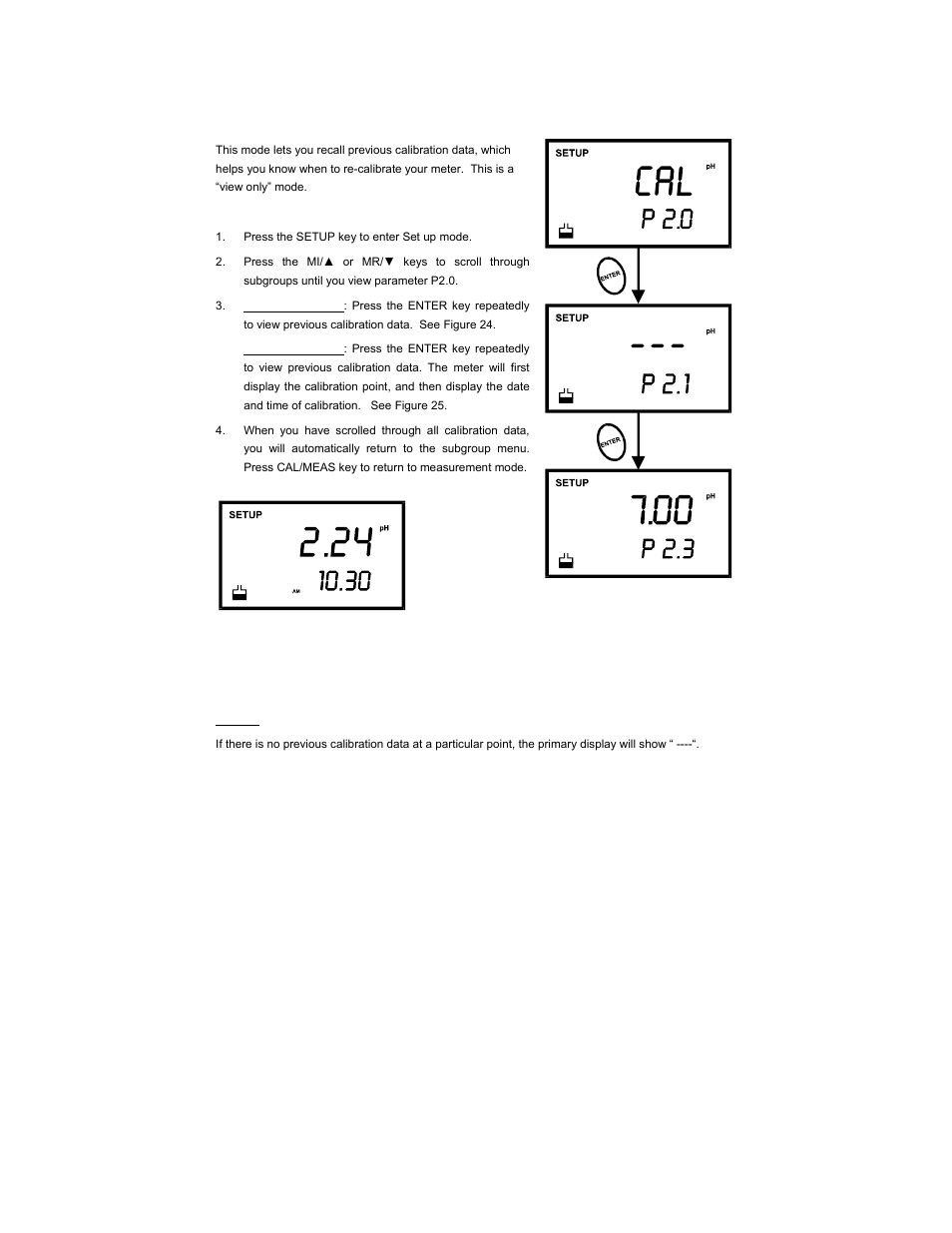 Thermo Fisher Scientific CyberScan pH 300/310 User Manual | Page 29 / 52