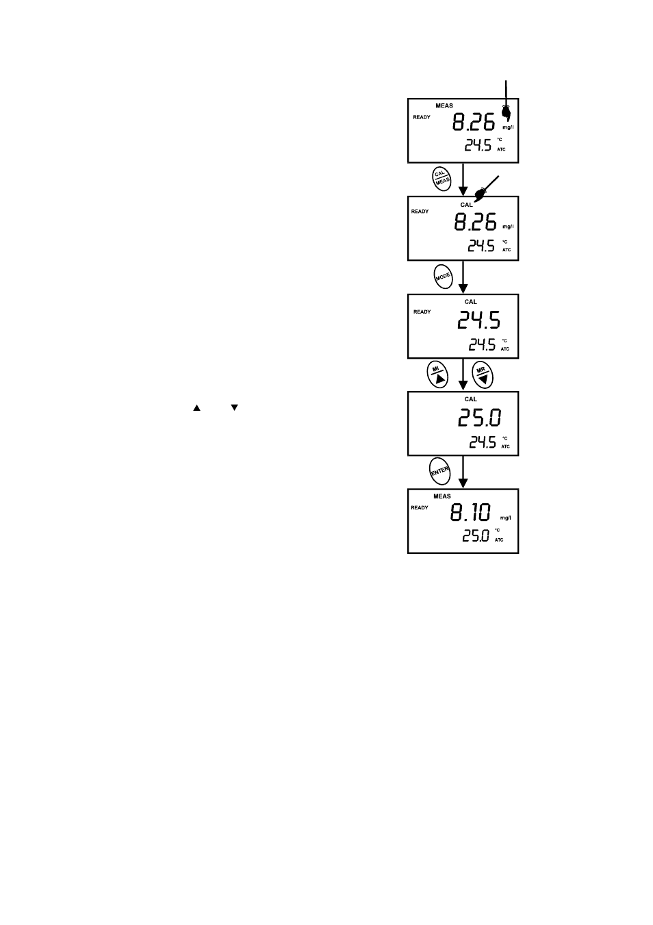 Thermo Fisher Scientific CyberScan DO 300 User Manual | Page 10 / 60