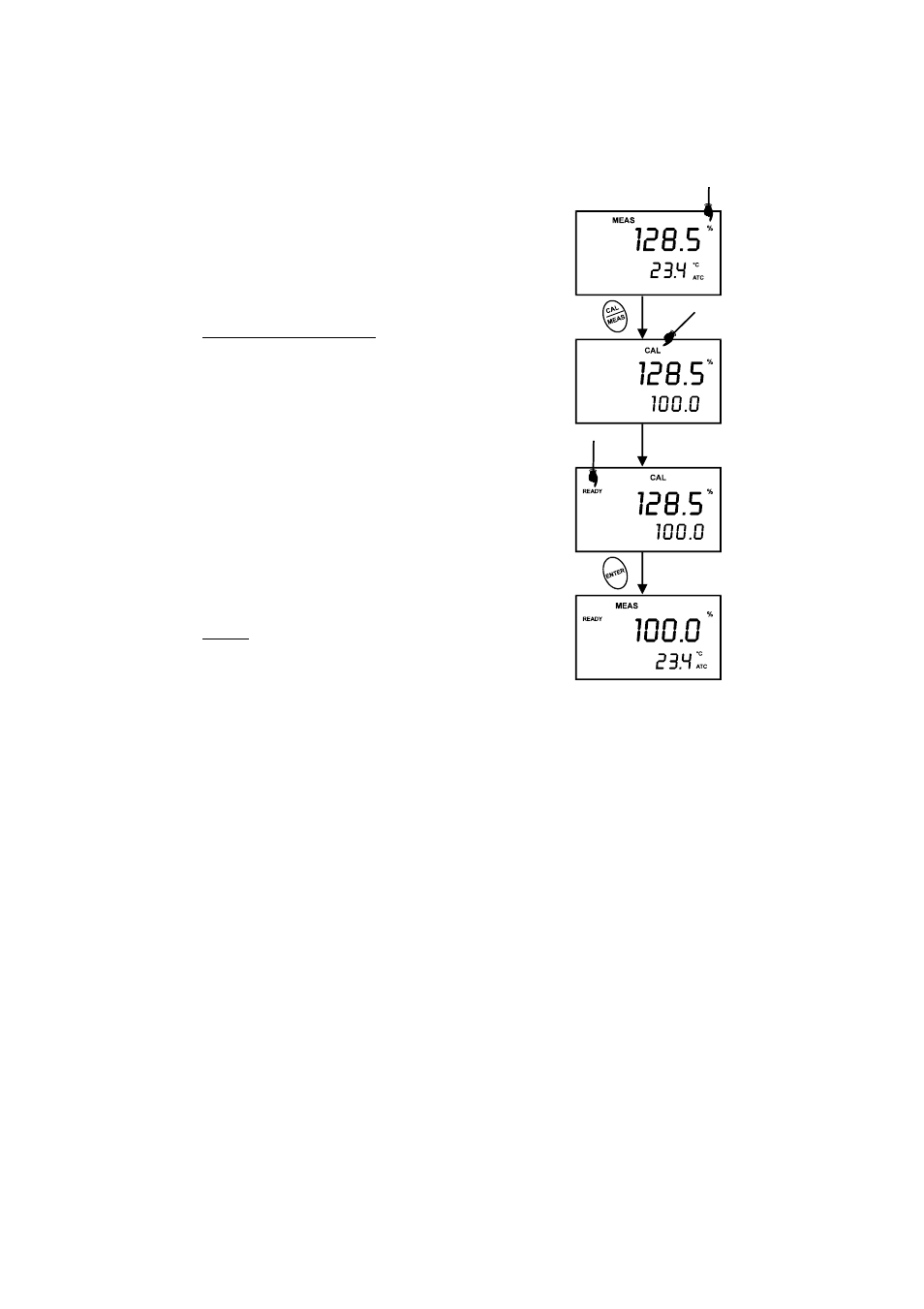 Thermo Fisher Scientific CyberScan DO 300 User Manual | Page 11 / 60