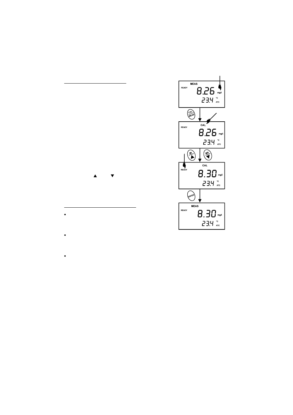 Thermo Fisher Scientific CyberScan DO 300 User Manual | Page 13 / 60