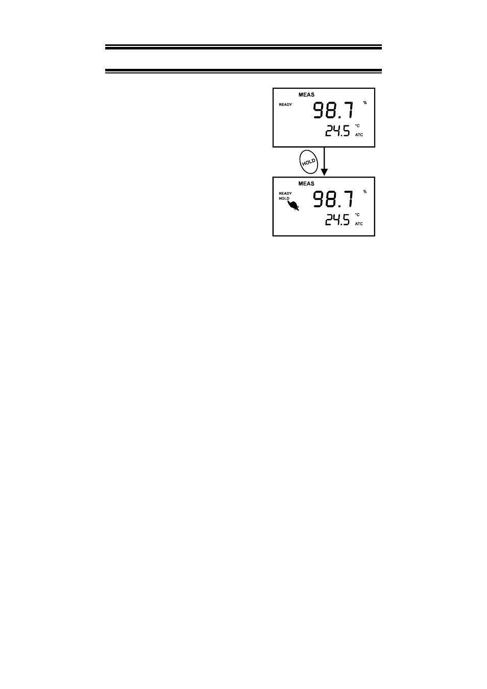 6 hold function | Thermo Fisher Scientific CyberScan DO 300 User Manual | Page 17 / 60