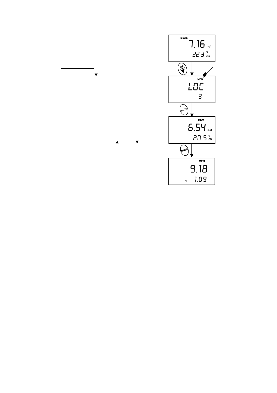 Thermo Fisher Scientific CyberScan DO 300 User Manual | Page 19 / 60