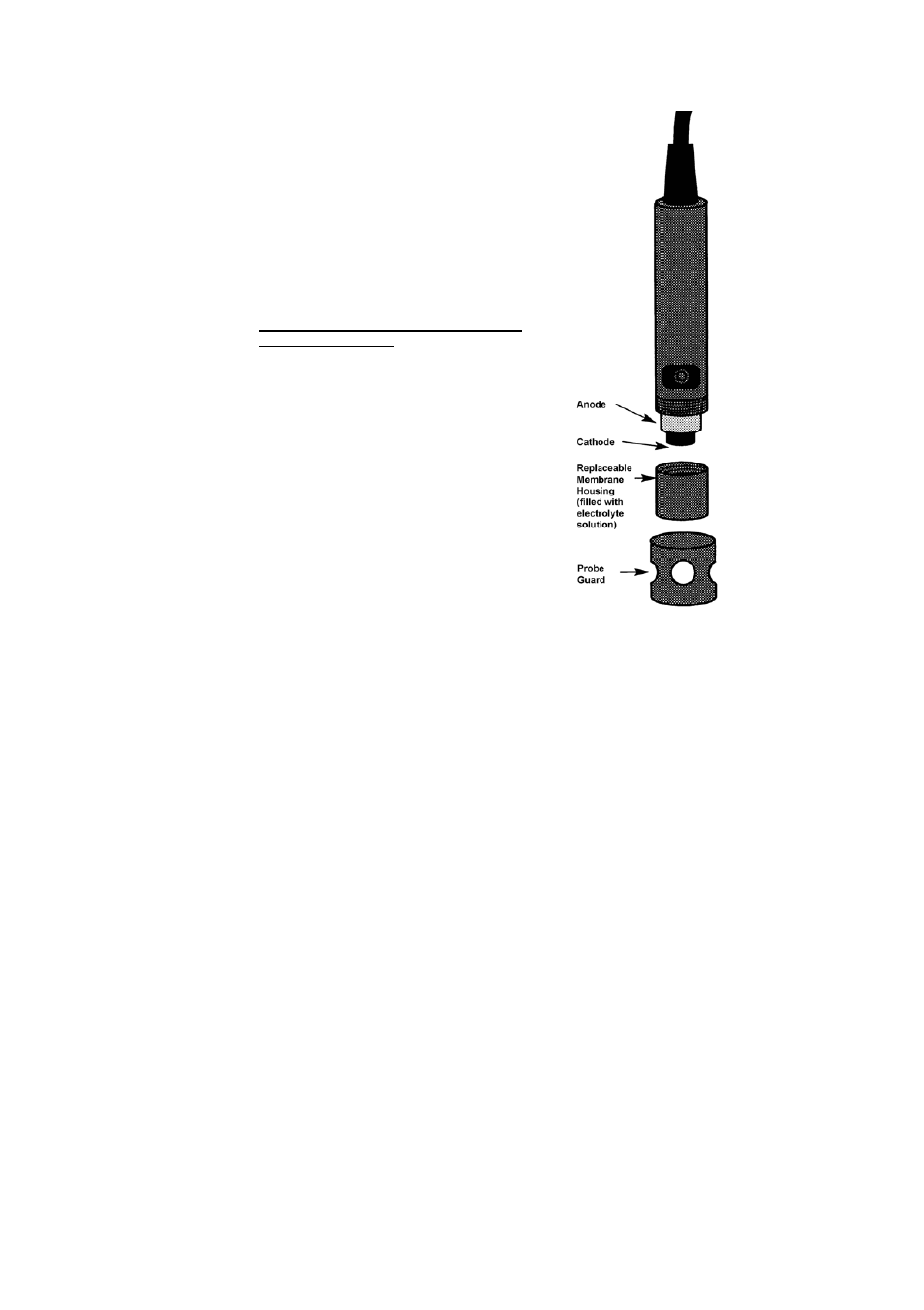 Thermo Fisher Scientific CyberScan DO 300 User Manual | Page 41 / 60