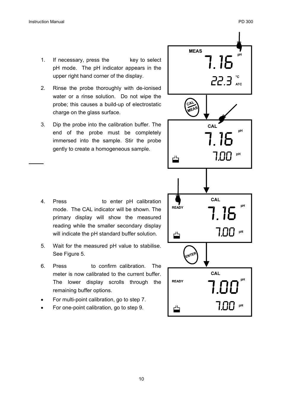 Thermo Fisher Scientific CyberScan PD 300 User Manual | Page 15 / 76