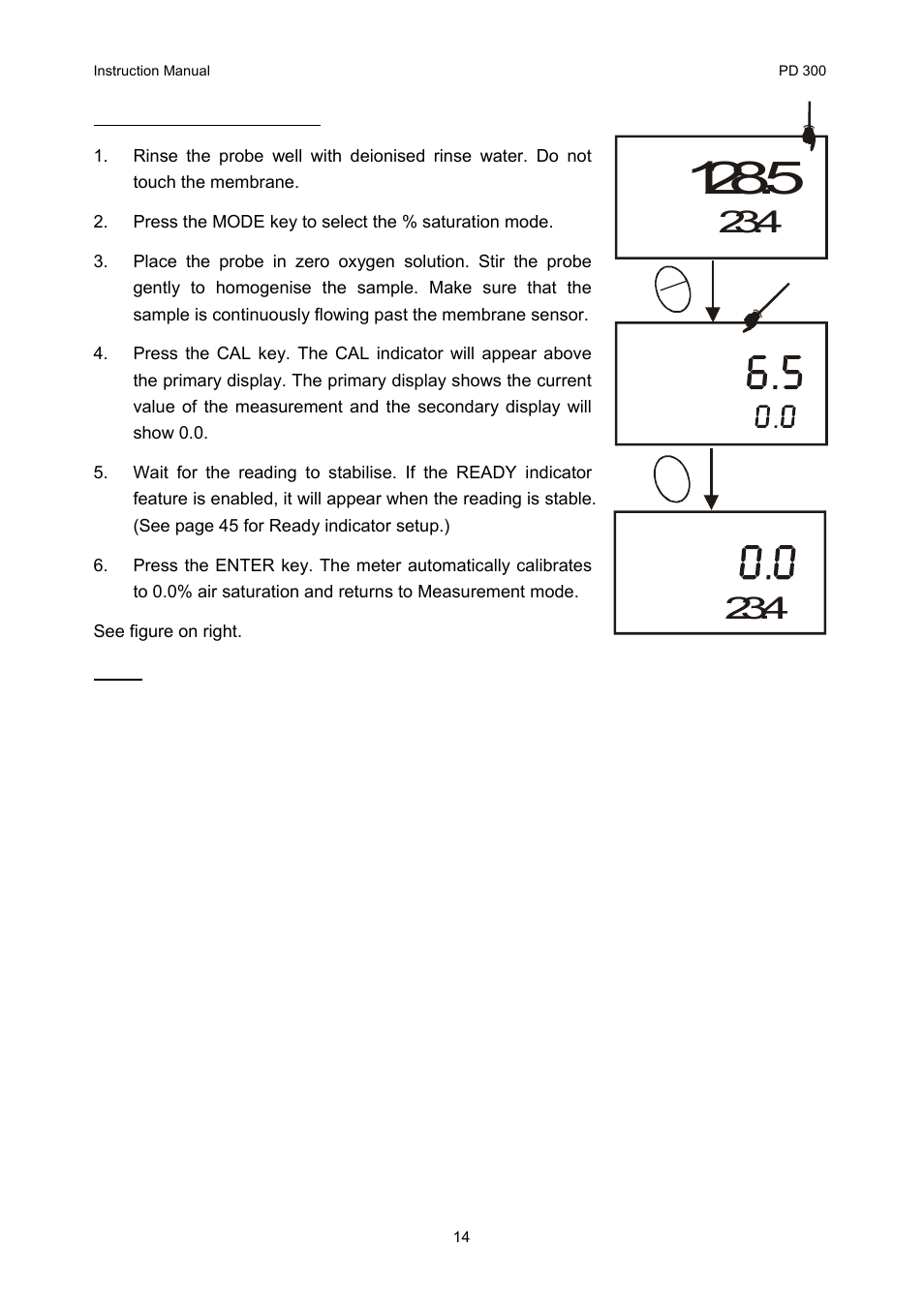 Thermo Fisher Scientific CyberScan PD 300 User Manual | Page 19 / 76