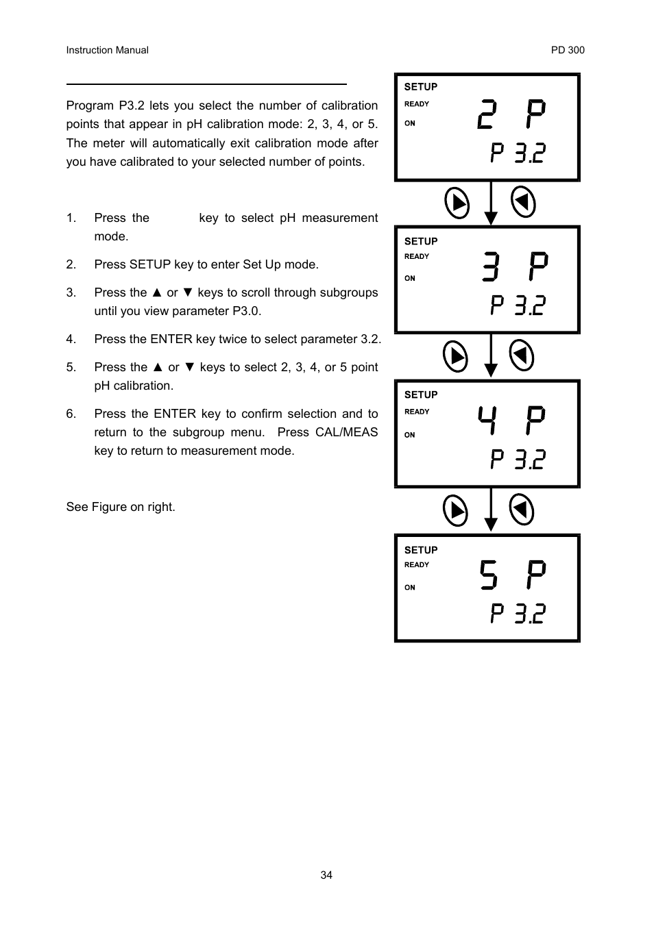 Thermo Fisher Scientific CyberScan PD 300 User Manual | Page 39 / 76