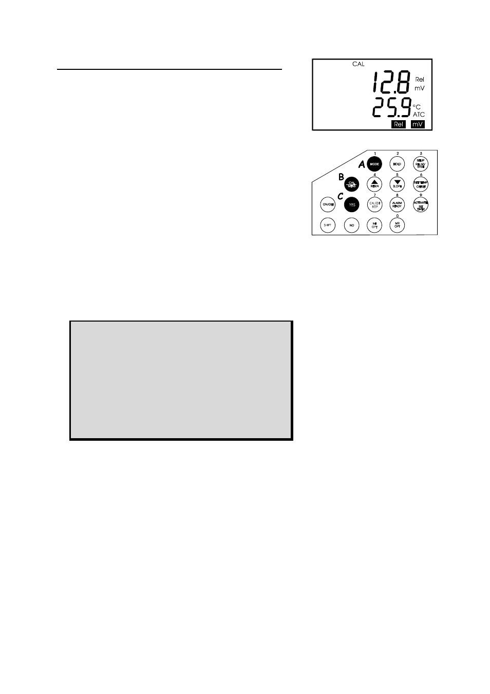 Thermo Fisher Scientific CyberScan pH 1000/pH 2500 User Manual | Page 16 / 40