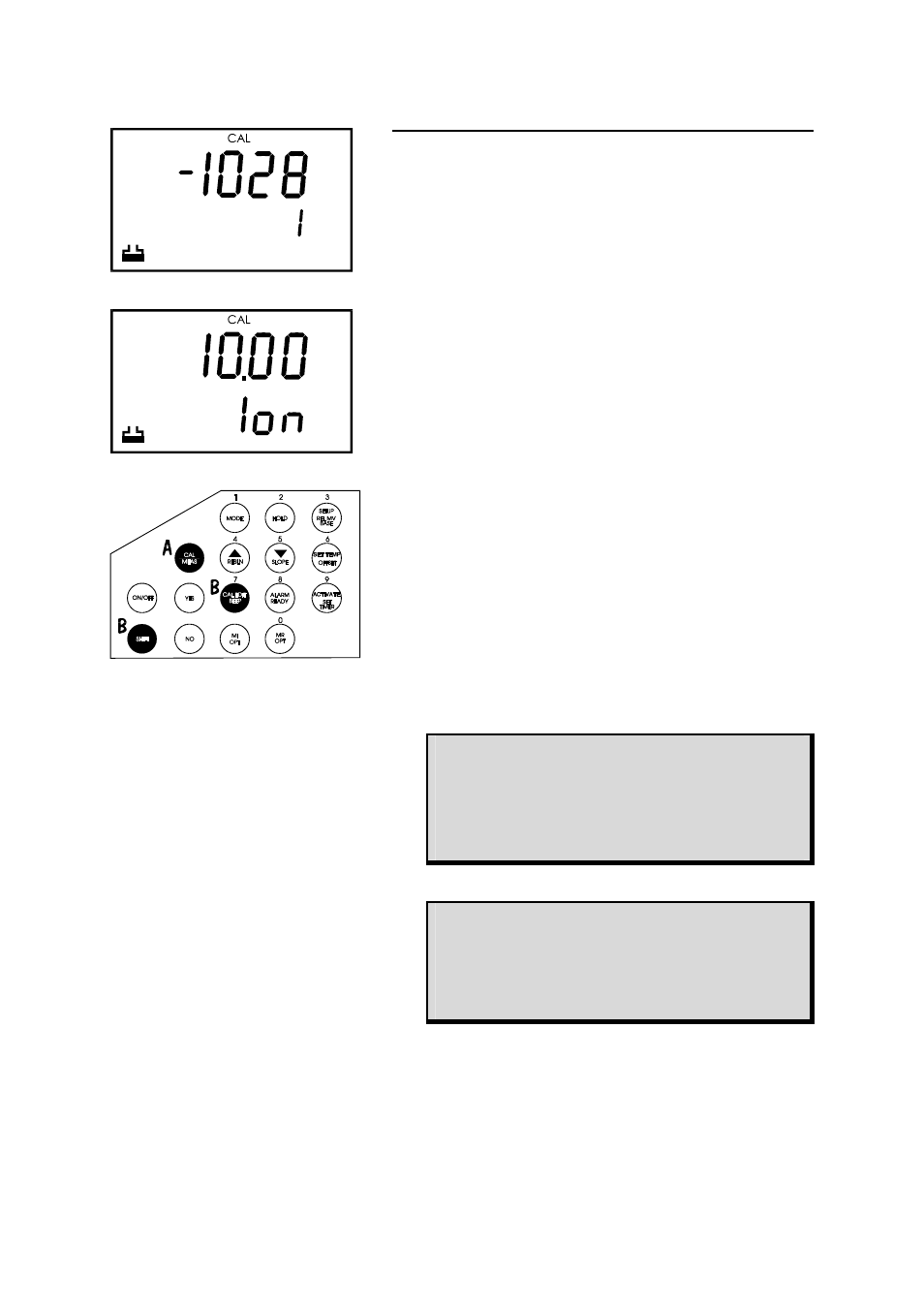 Thermo Fisher Scientific CyberScan pH 1000/pH 2500 User Manual | Page 17 / 40