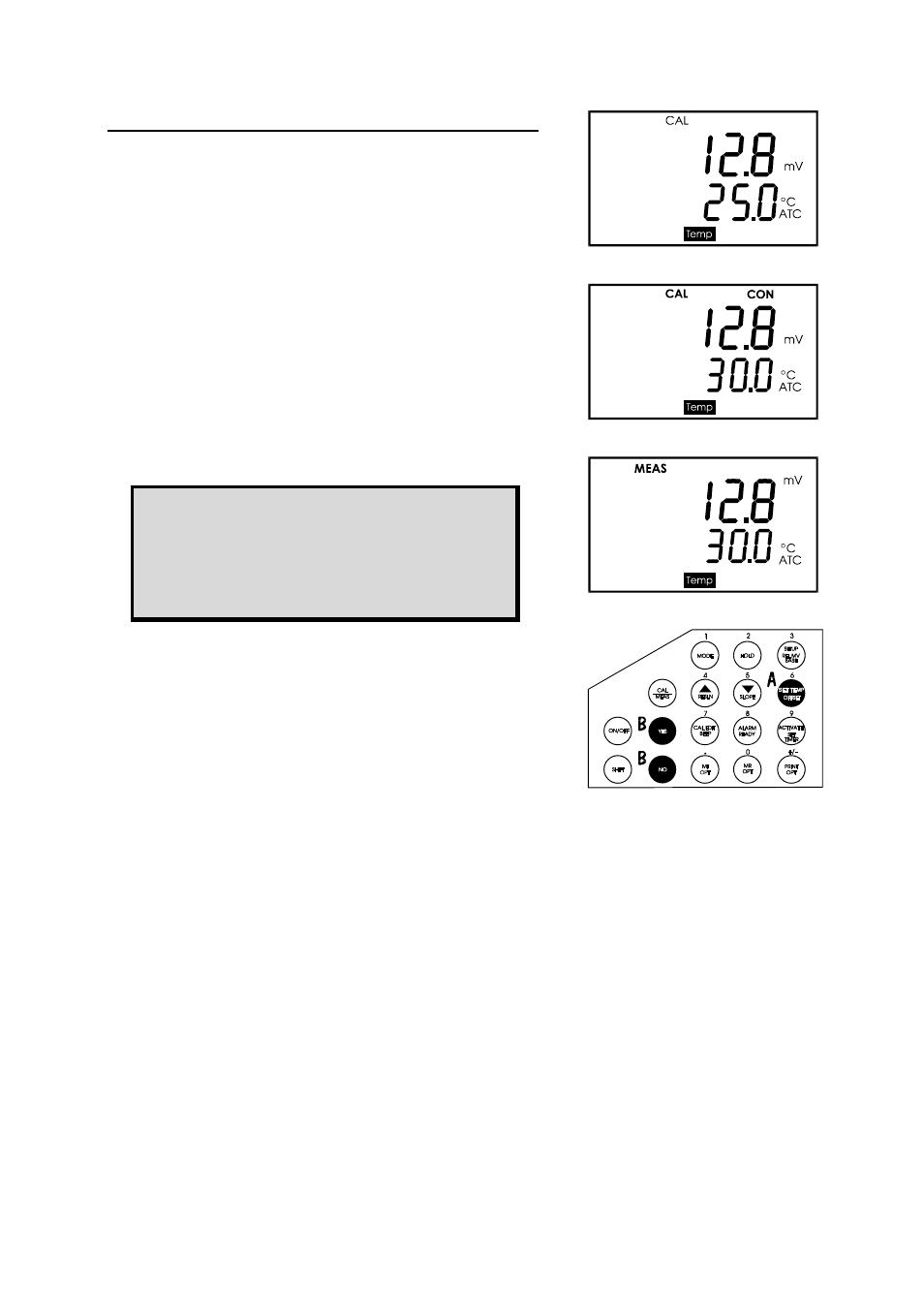 Thermo Fisher Scientific CyberScan pH 1000/pH 2500 User Manual | Page 18 / 40