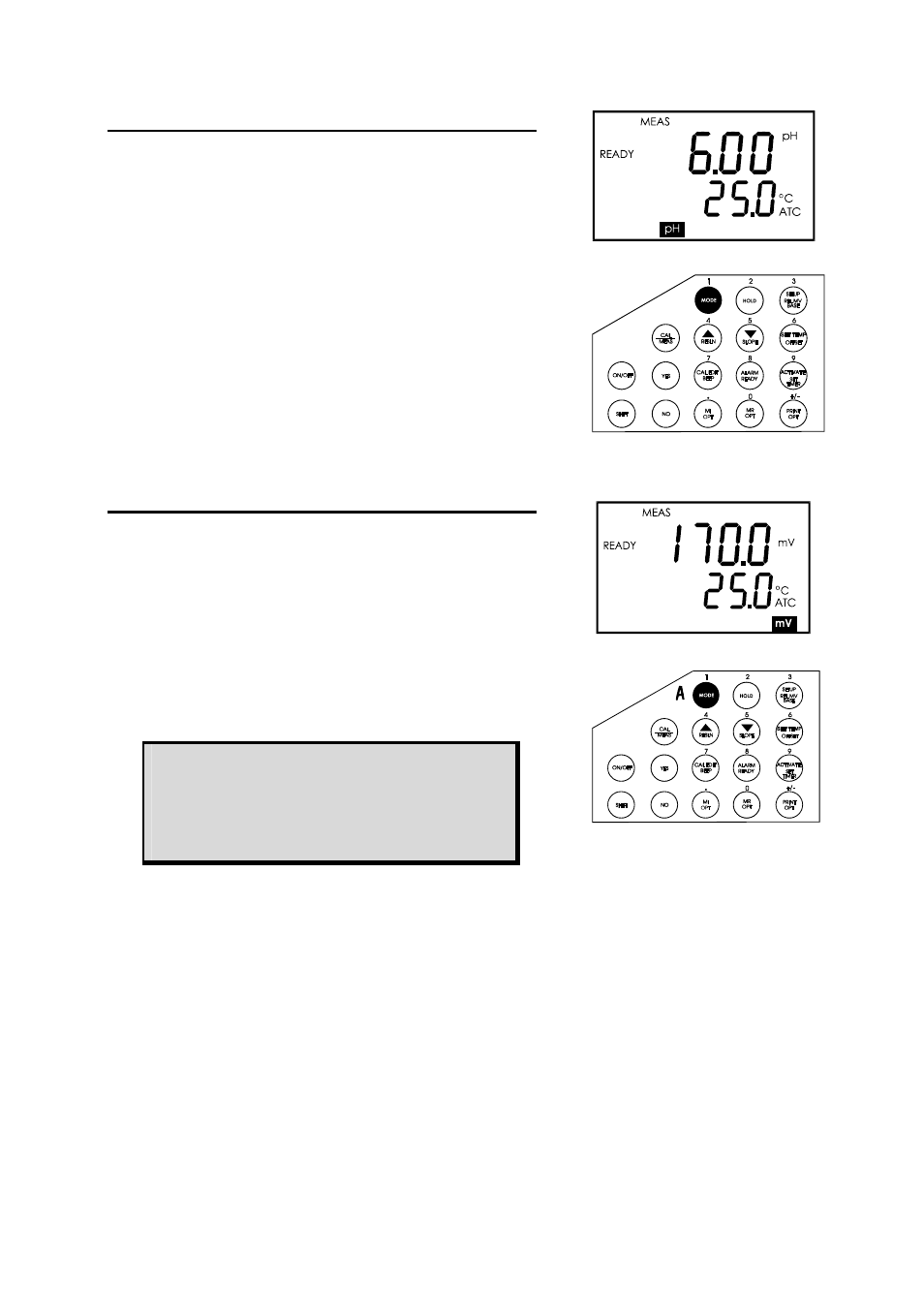 Thermo Fisher Scientific CyberScan pH 1000/pH 2500 User Manual | Page 20 / 40