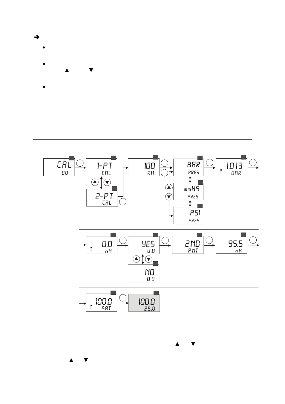 2 two-point calibration, Two-point calibration, Pt 2-pt | Thermo Fisher Scientific Alpha DO 2000 User Manual | Page 24 / 56