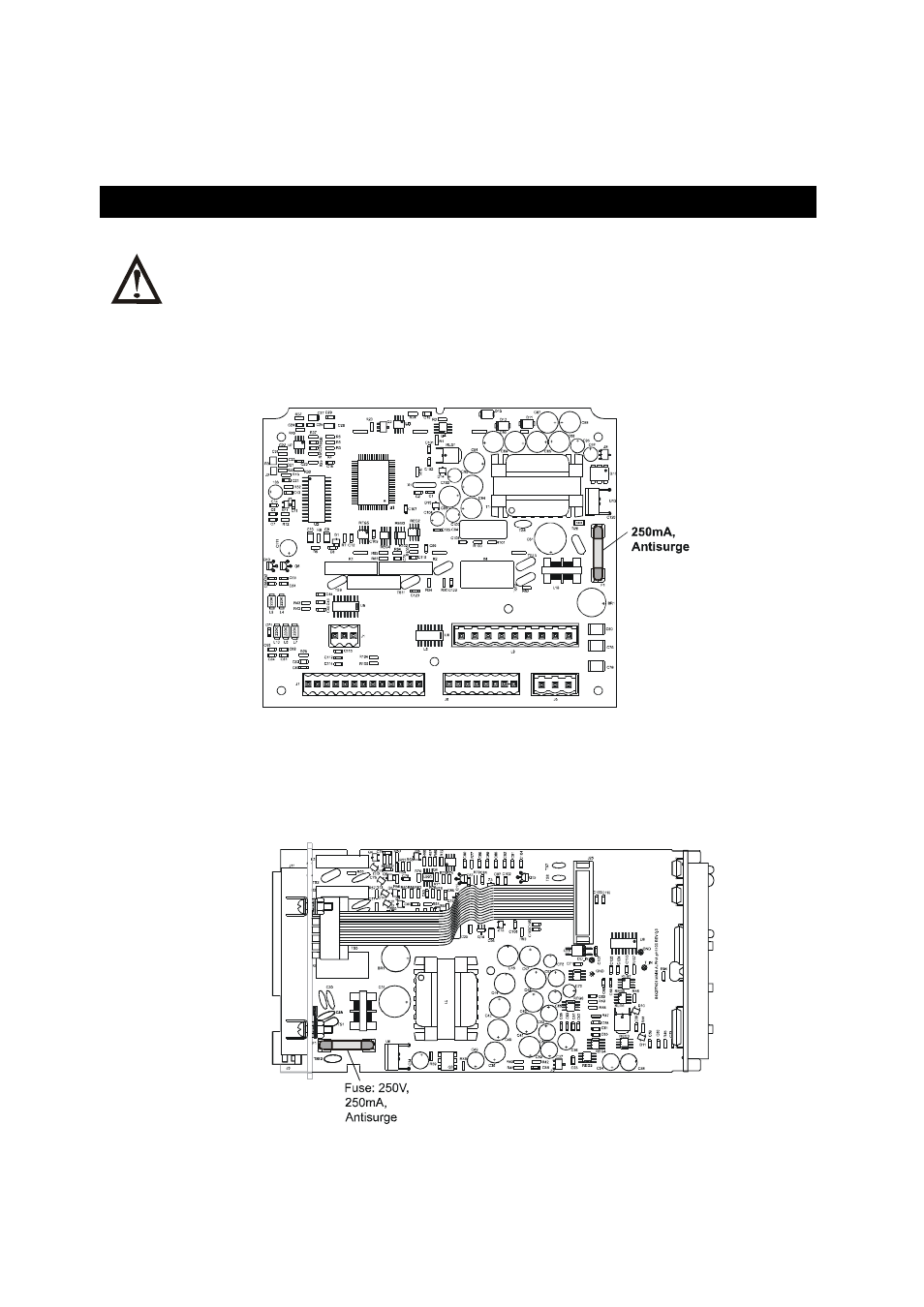 Appendices, 1 appendix 1 – replacing fuse, Appendix 1 – replacing fuse | Thermo Fisher Scientific Alpha DO 2000 User Manual | Page 48 / 56