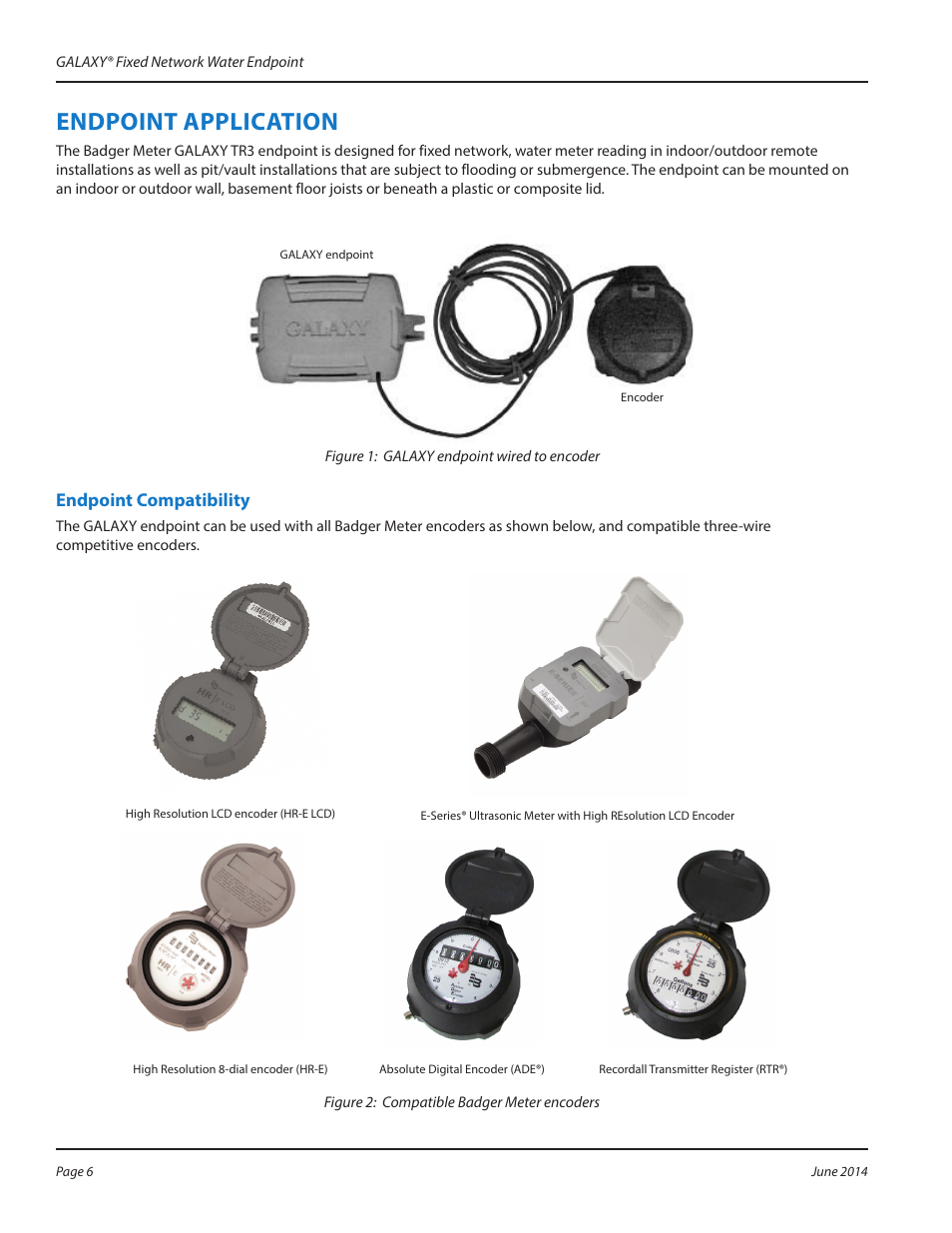 Endpoint application, Endpoint compatibility, Endmoint tmmlicttion | Badger Meter GALAXY User Manual | Page 6 / 16