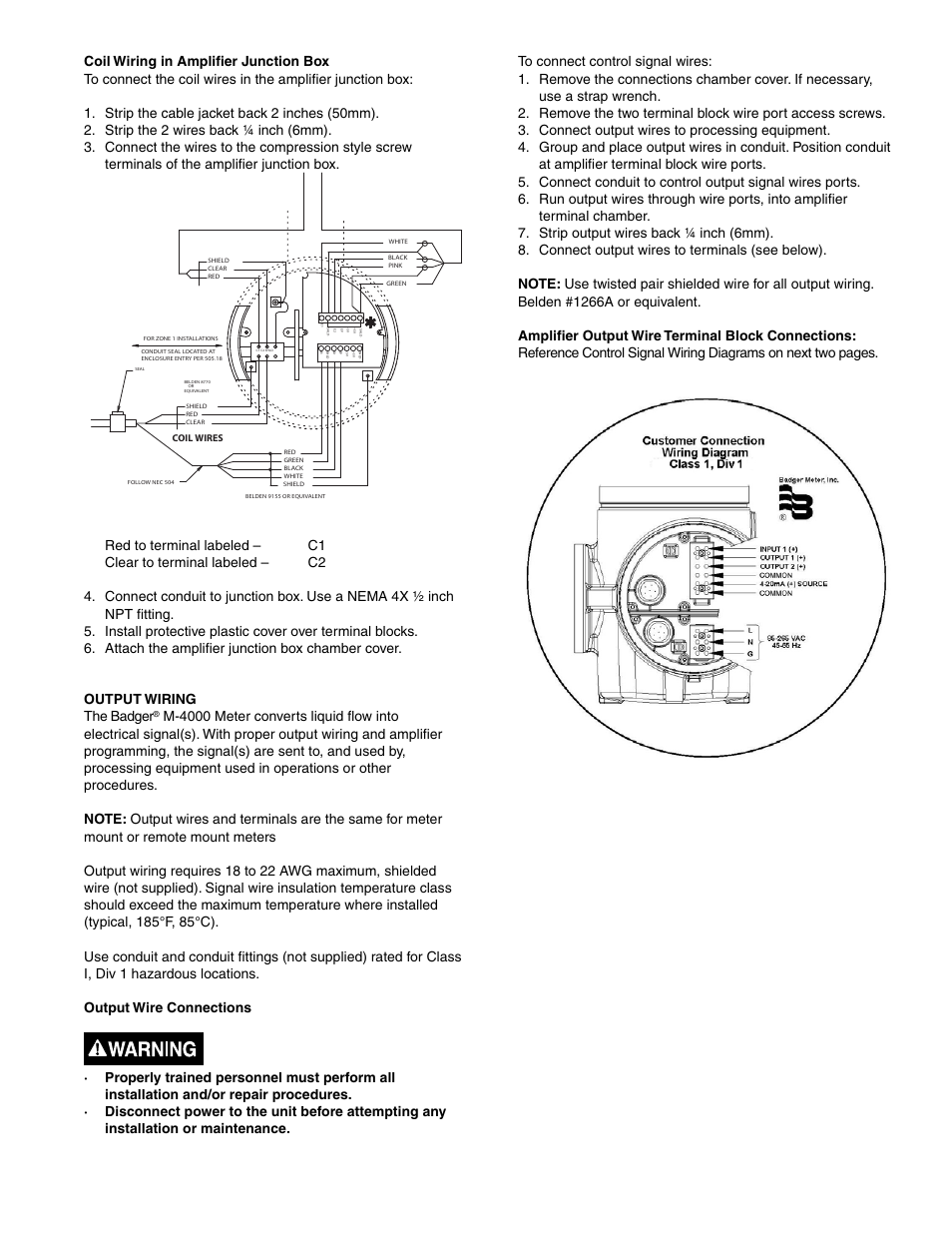 Badger Meter M-Series M4000 User Manual | Page 13 / 36
