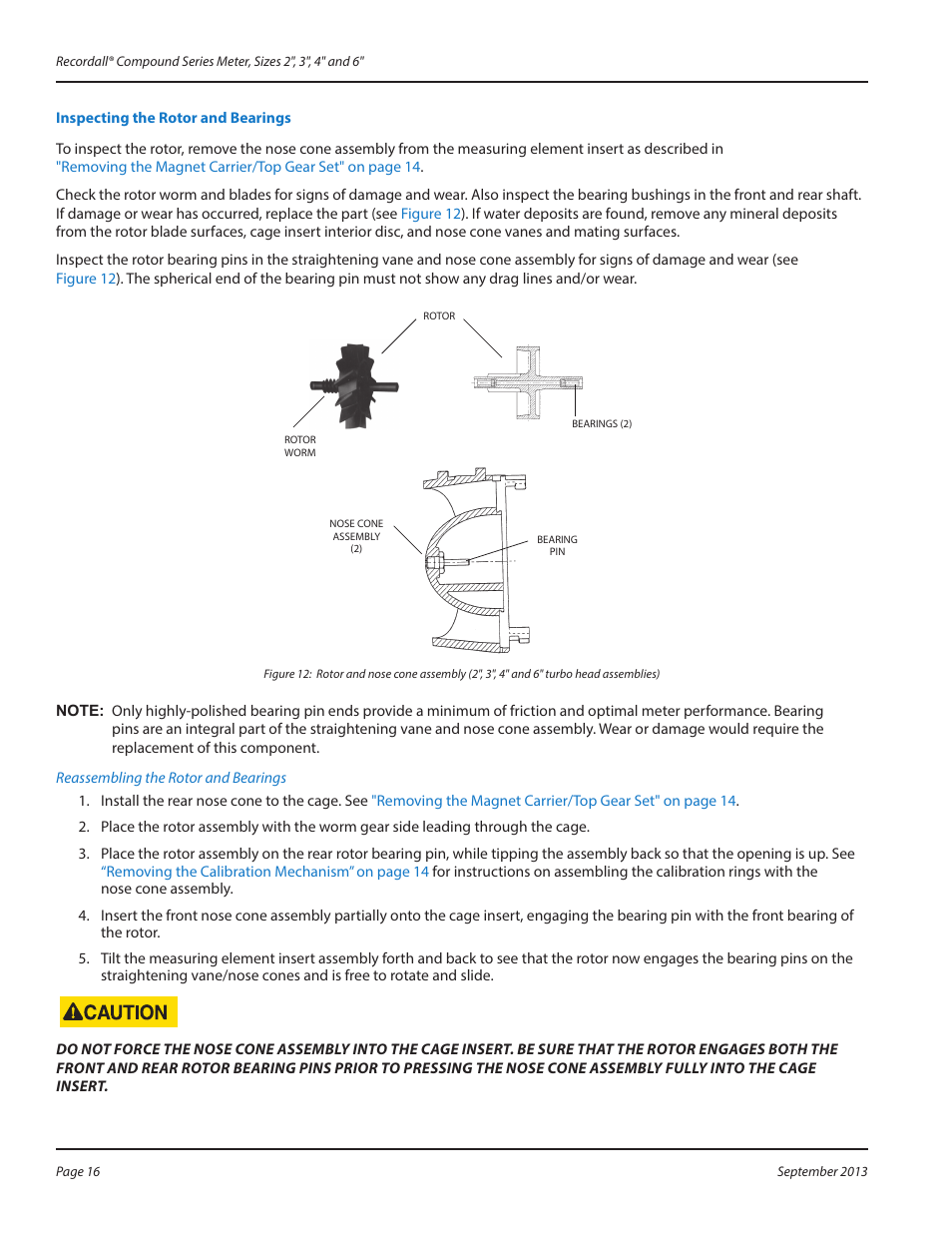 Inspecting the rotor and bearings, Inspecting the rotor and bearings 16 | Badger Meter Compound Series User Manual | Page 16 / 20