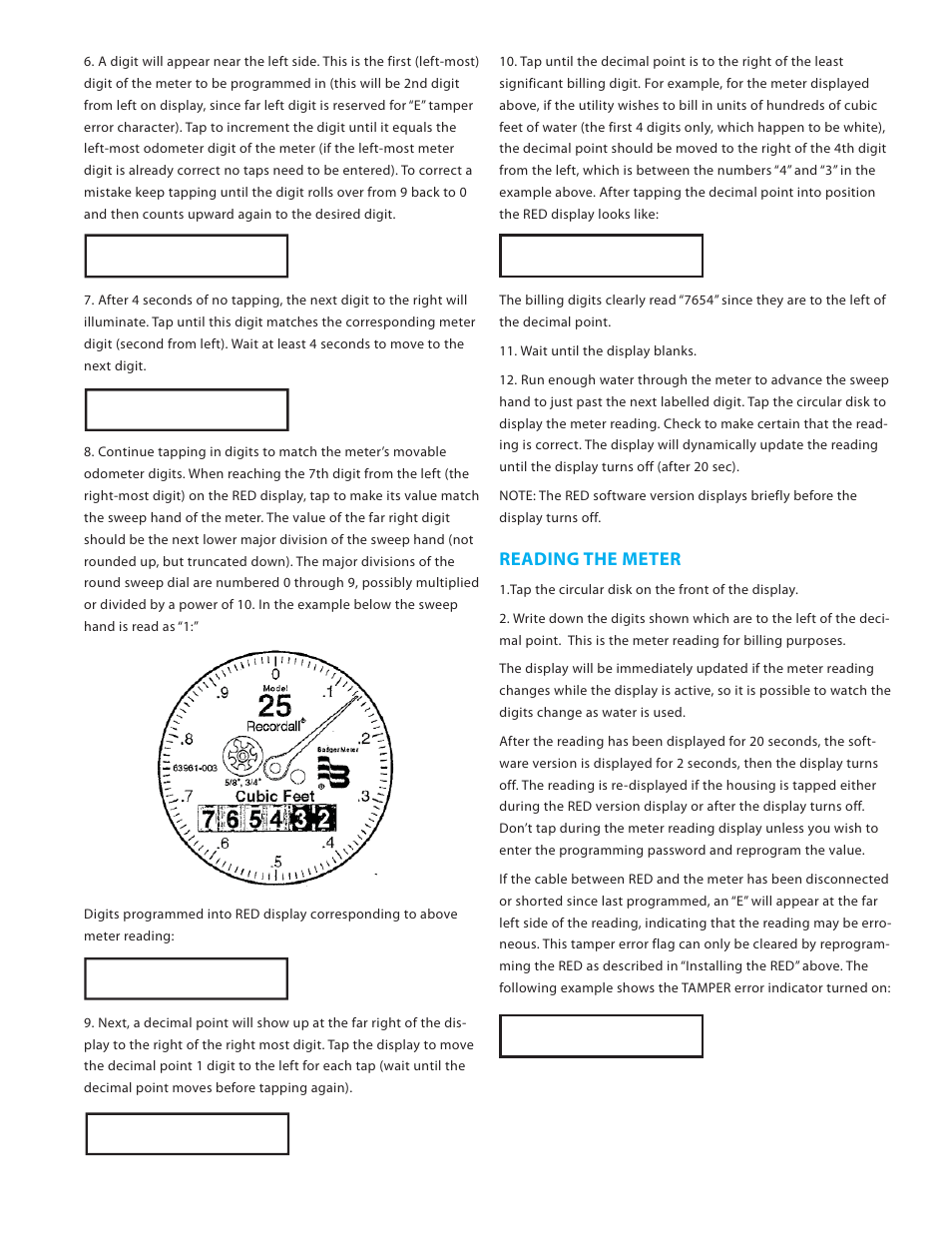 Reading the meter | Badger Meter Remote Electronic Display (RED) User Manual | Page 3 / 8