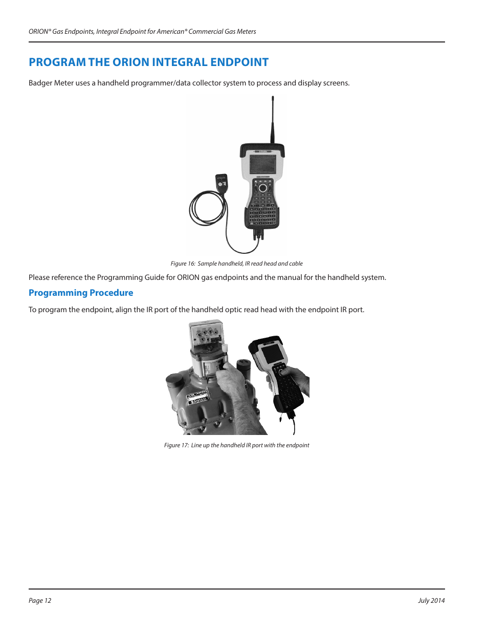 Complete the installation, Complete the installation 12, Program the orion integral endpoint | Badger Meter ORION AMR/AMI Hardware Solutions for Gas Utilities User Manual | Page 12 / 20